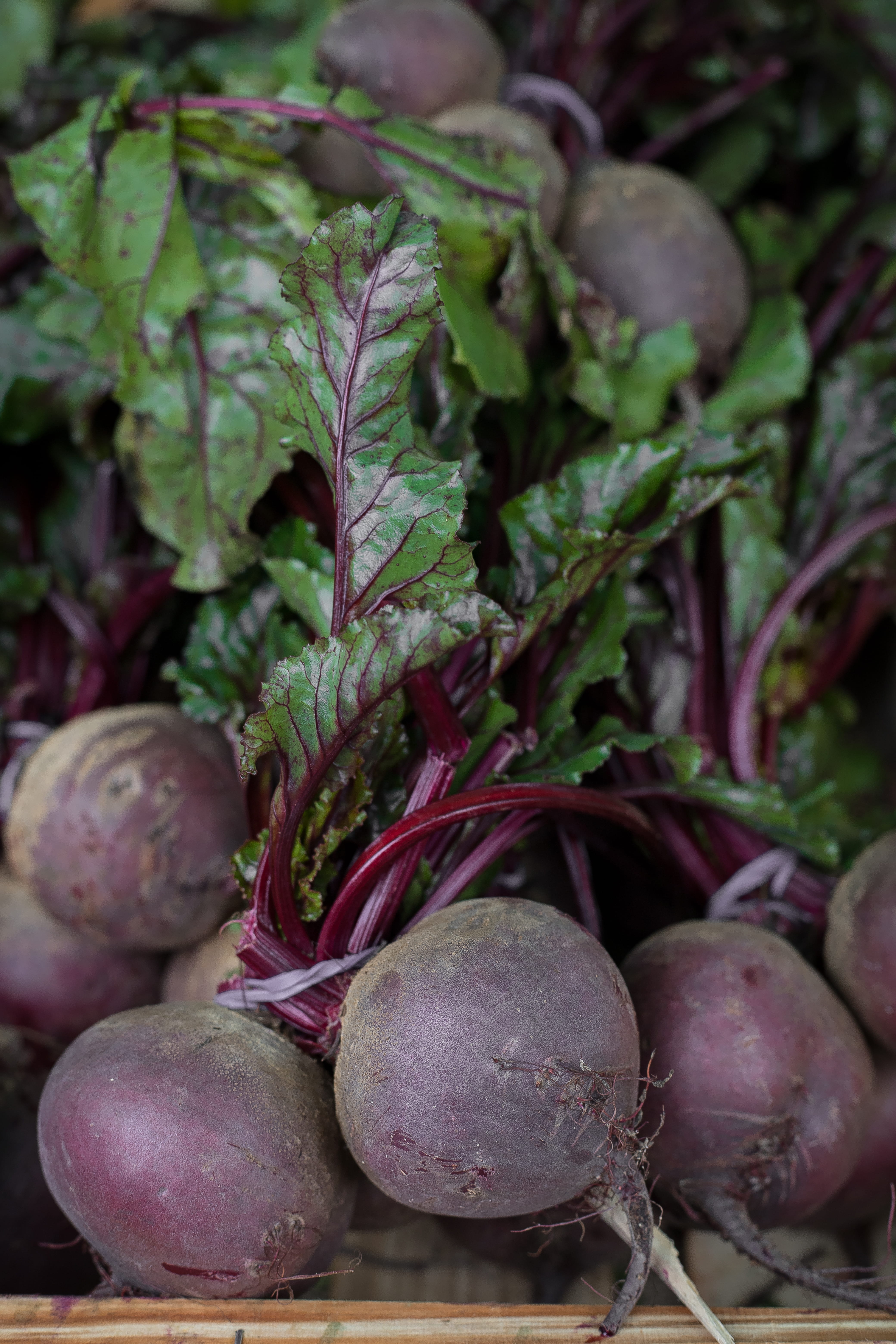 streetmarket, for sale, plant part, turnip, close-up, market, leaf, freshness, ripe, green color, food and drink, raw food, vegetable, still life, purple, Phone HD Wallpaper