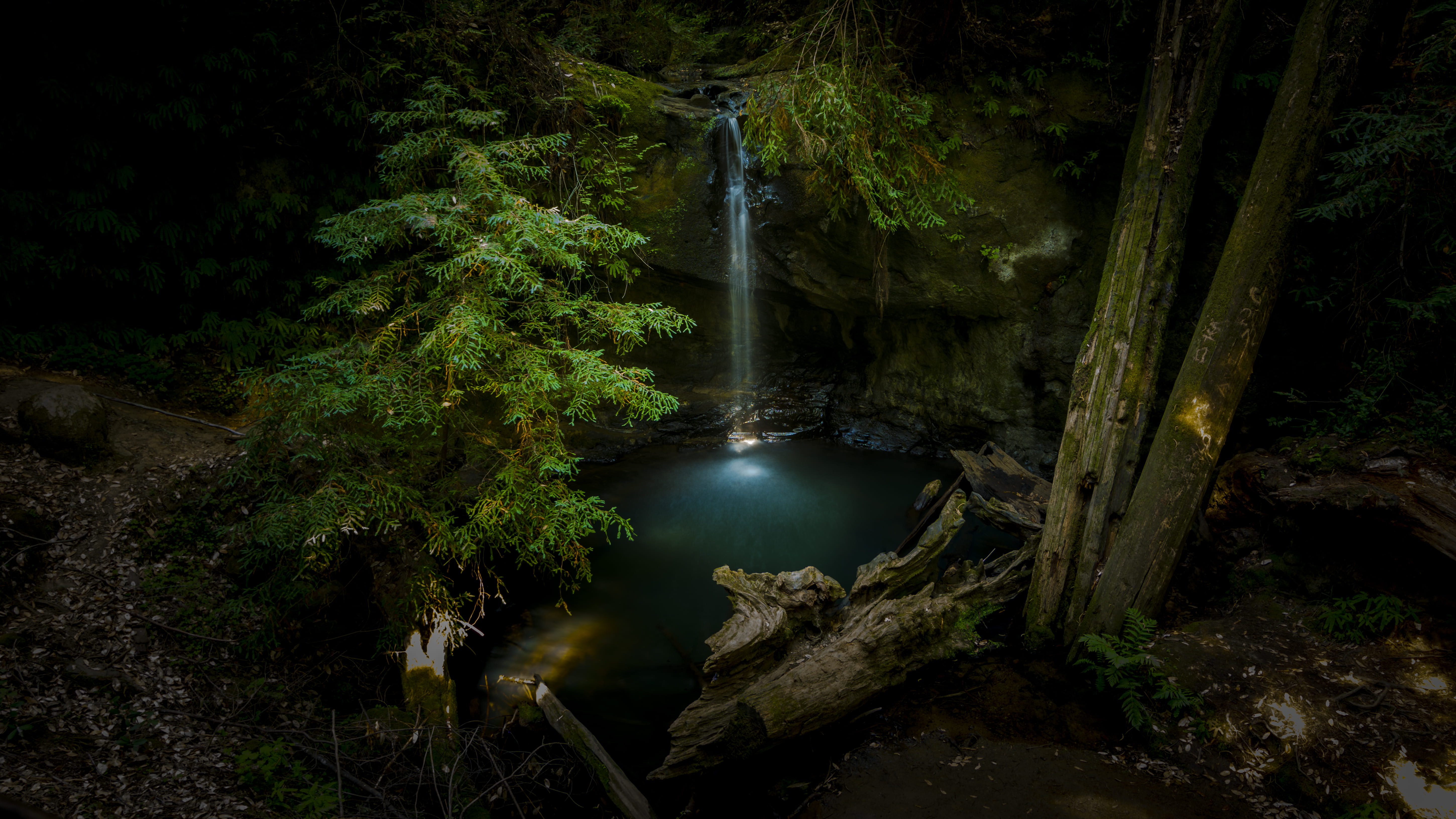 view, trunk, rainforest, canopy, boulder creek, nature, water, river, mysteriou, peaceful, secluded, waterfalls, plant, waterfall, flowing water, high, HD Wallpaper