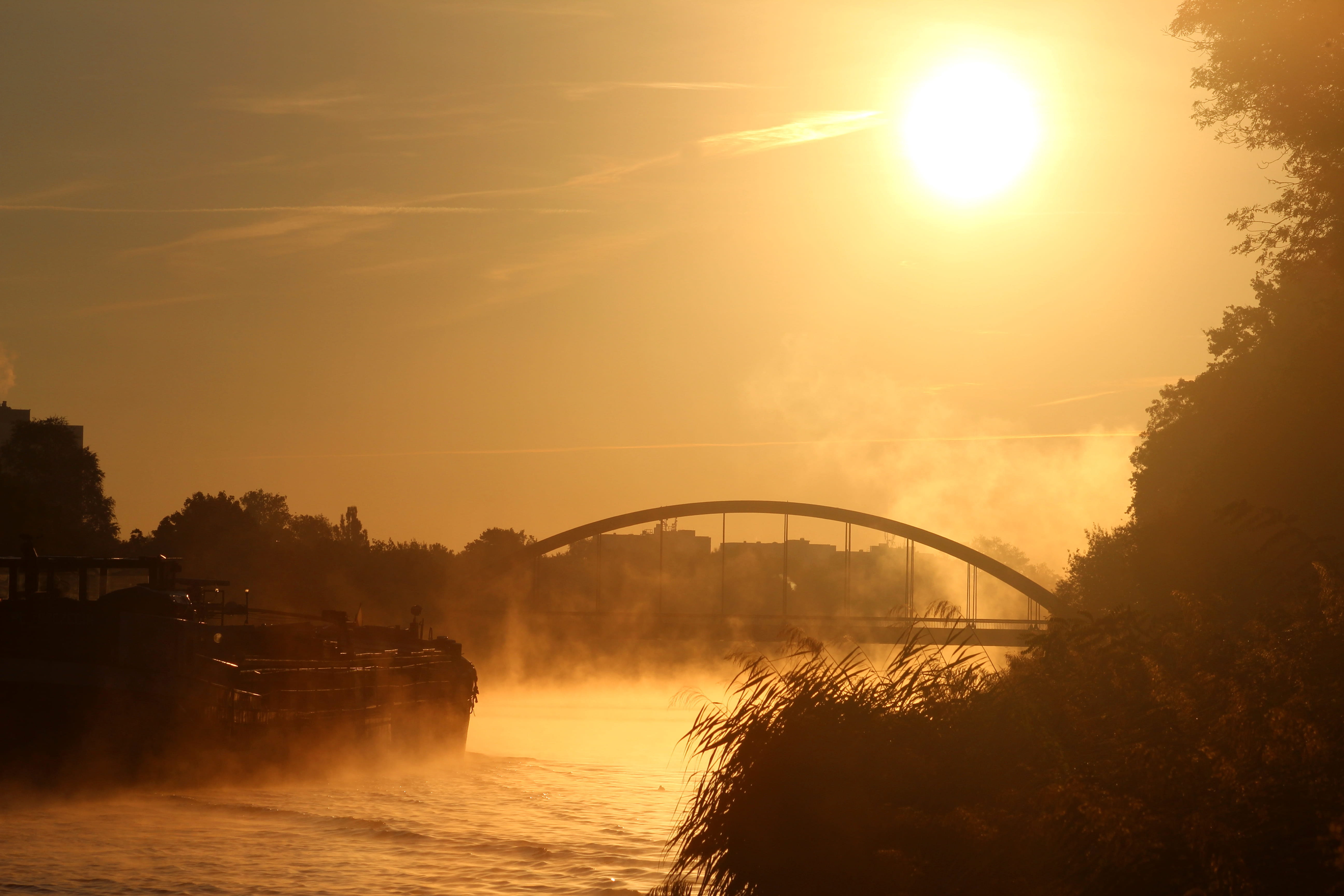 dusk, nature, 5K, sunrise, built structure, bridge - man made structure, lens flare, water, sun, ferry, transportation, boat, orange, tree, yellow, sunset, HD Wallpaper
