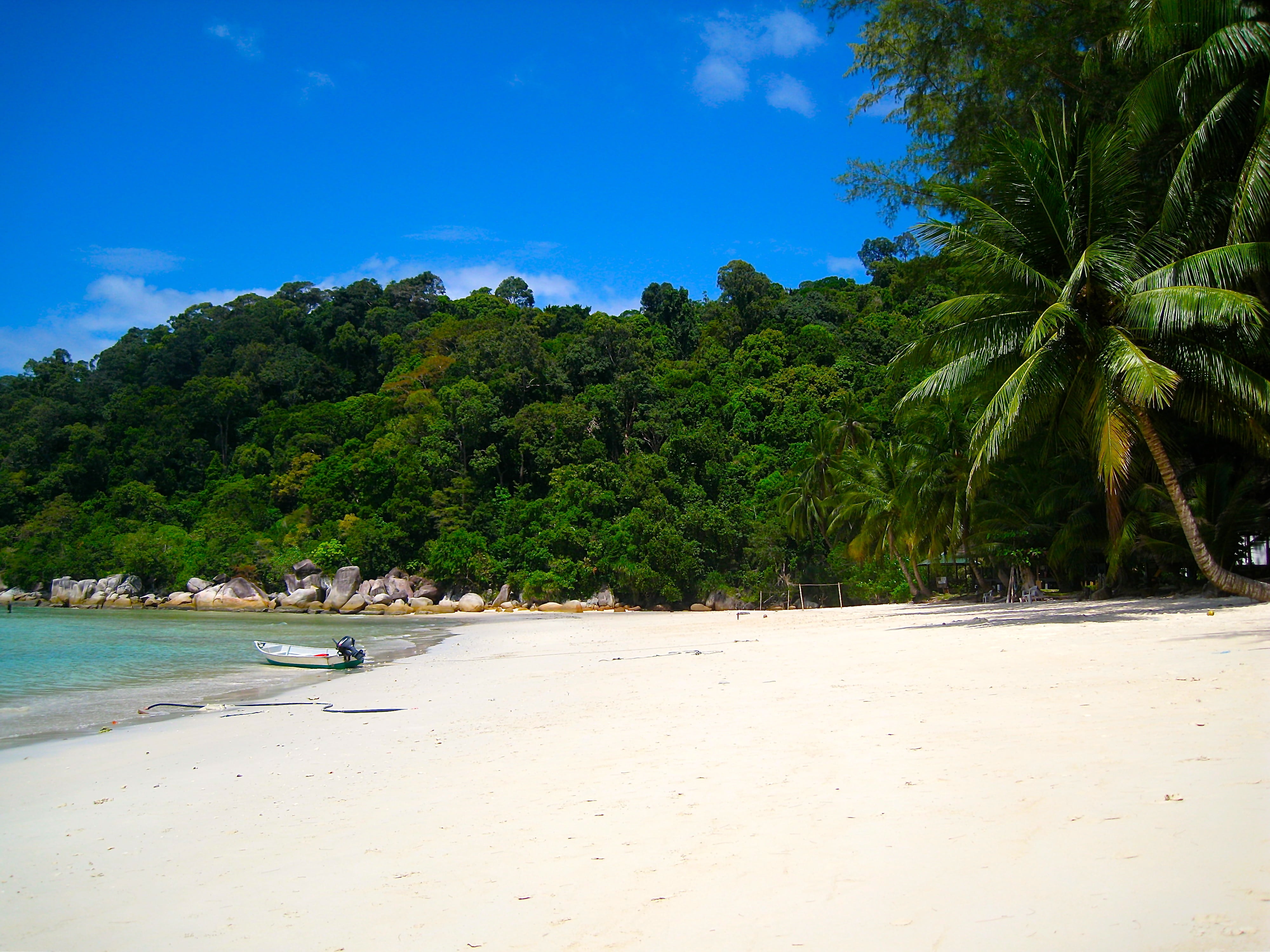 coconut palm tree, tranquility, turquoise colored, beach, day, scenics - nature, holiday, tree, island, 4K, trees, no people, lagoon, idyllic, sand, bay, HD Wallpaper