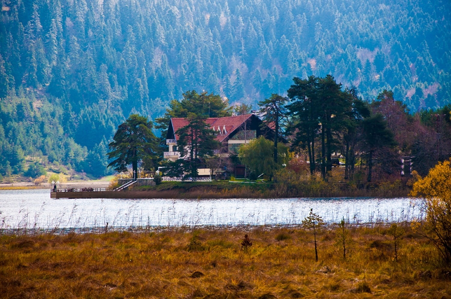 peaceful, secluded, Forest, change, Lake, building exterior, river, tree, outdoors, Water, plant, building, growth, architecture, beauty in nature, house, HD Wallpaper