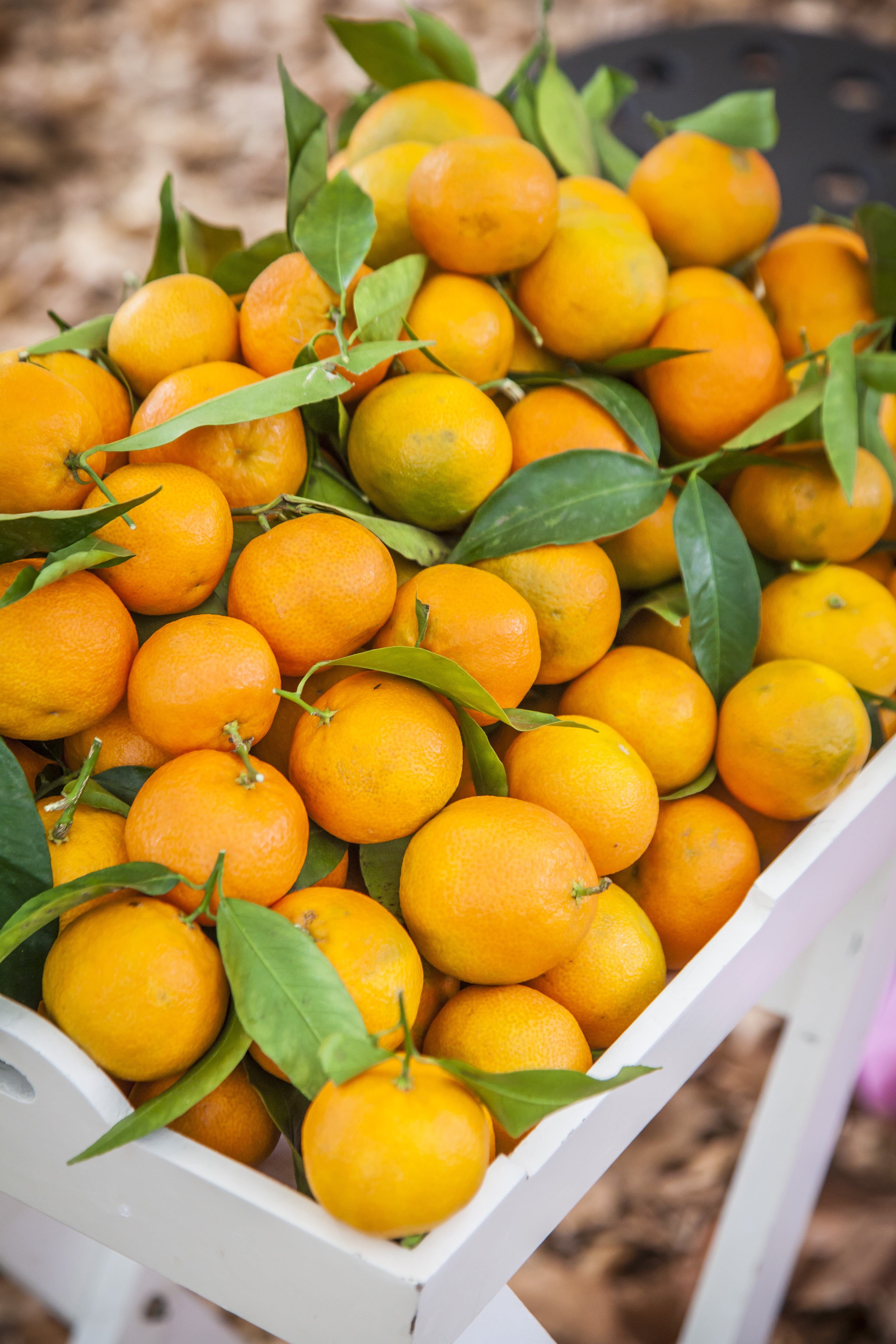 food, citrus fruit, fresh juice, peels, market stall, retail display, food and drink, no people, market, container, orange, breakfast, freshness, ripe, Phone HD Wallpaper