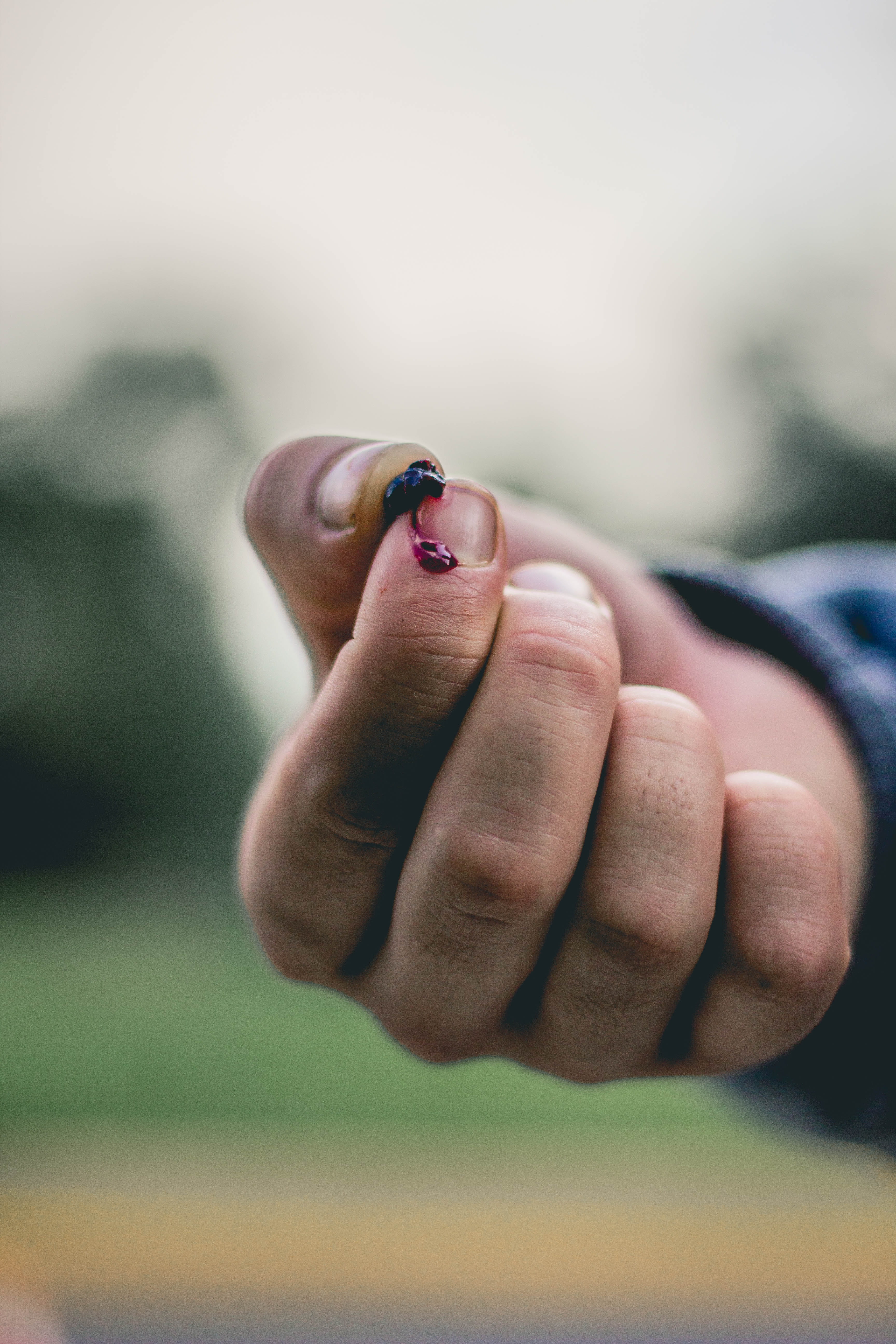 berry, selective focus, day, one animal, close-up, invertebrate, human body part, university city, real people, nature, animal wildlife, hand, mexico, one person, Phone HD Wallpaper