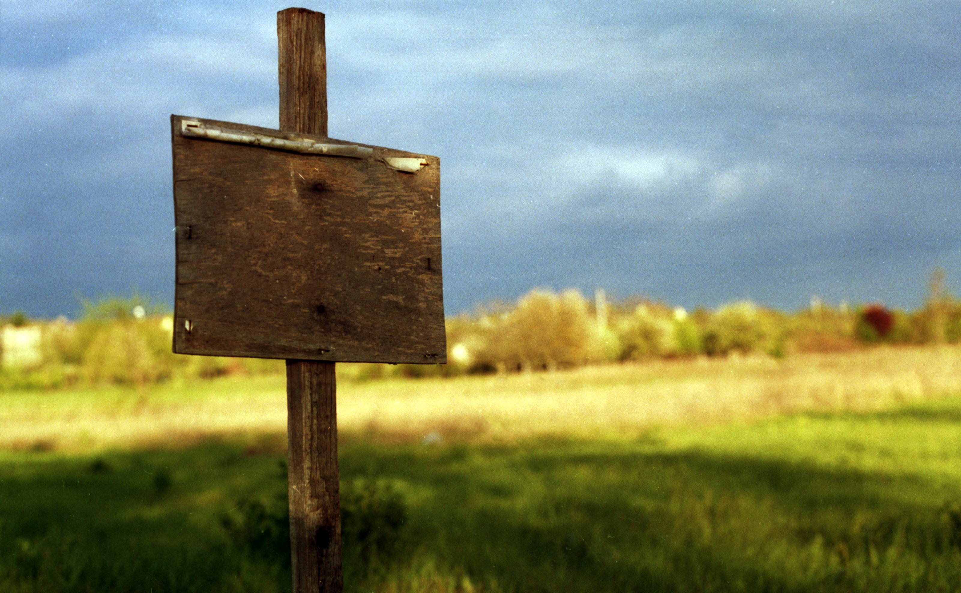 communication, property, buy, focus on foreground, 2K, outdoors, land, estate, purchase, for sale sign, no people, information, real, grass, cloud - sky, HD Wallpaper