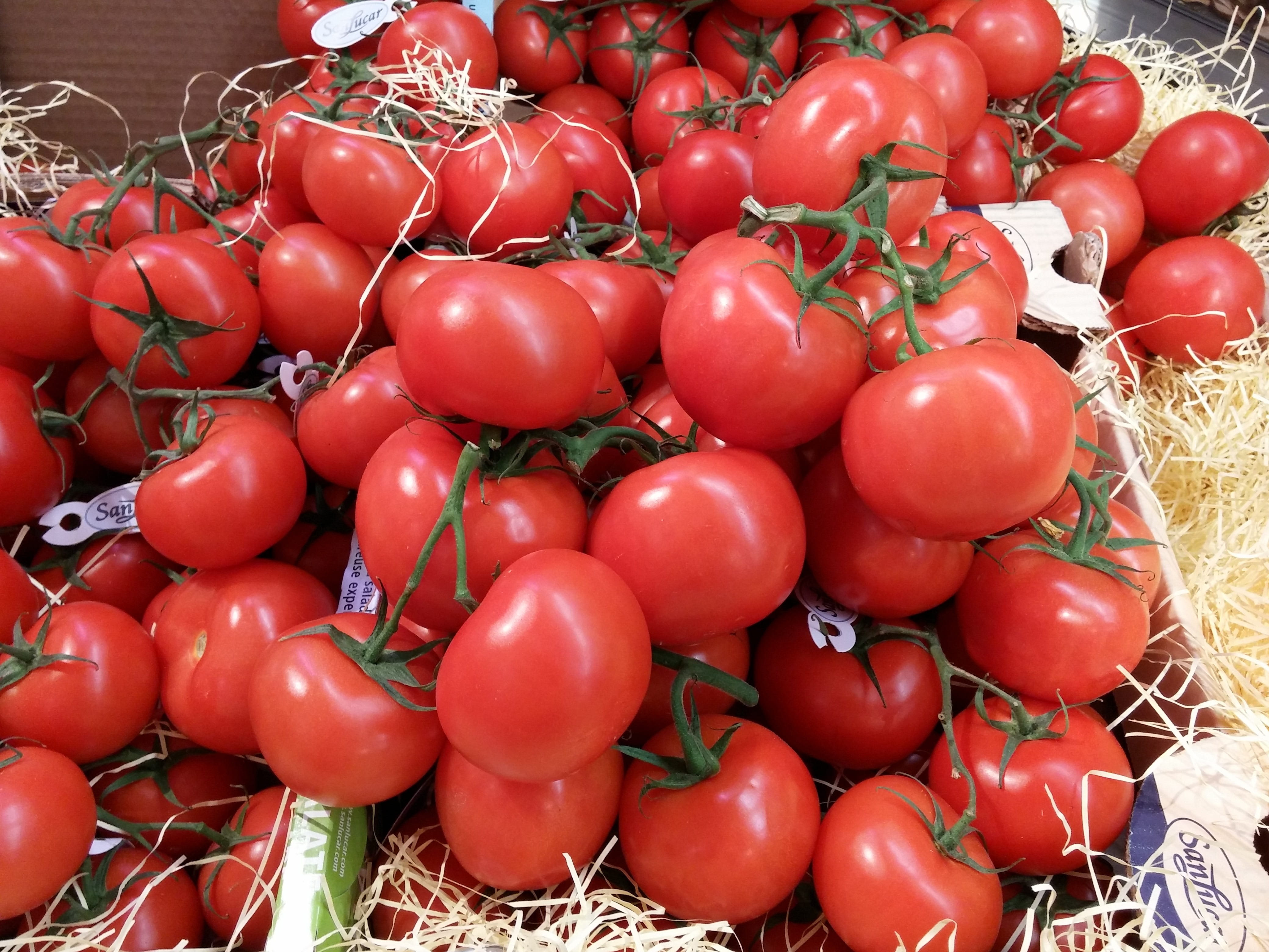 day, meal, vegetable growing, bush tomatoes, tomato mozzarella, Tomatoes, for sale, nutrition, market stall, knife, raw, nature, sun, about, ripe, sweet, HD Wallpaper