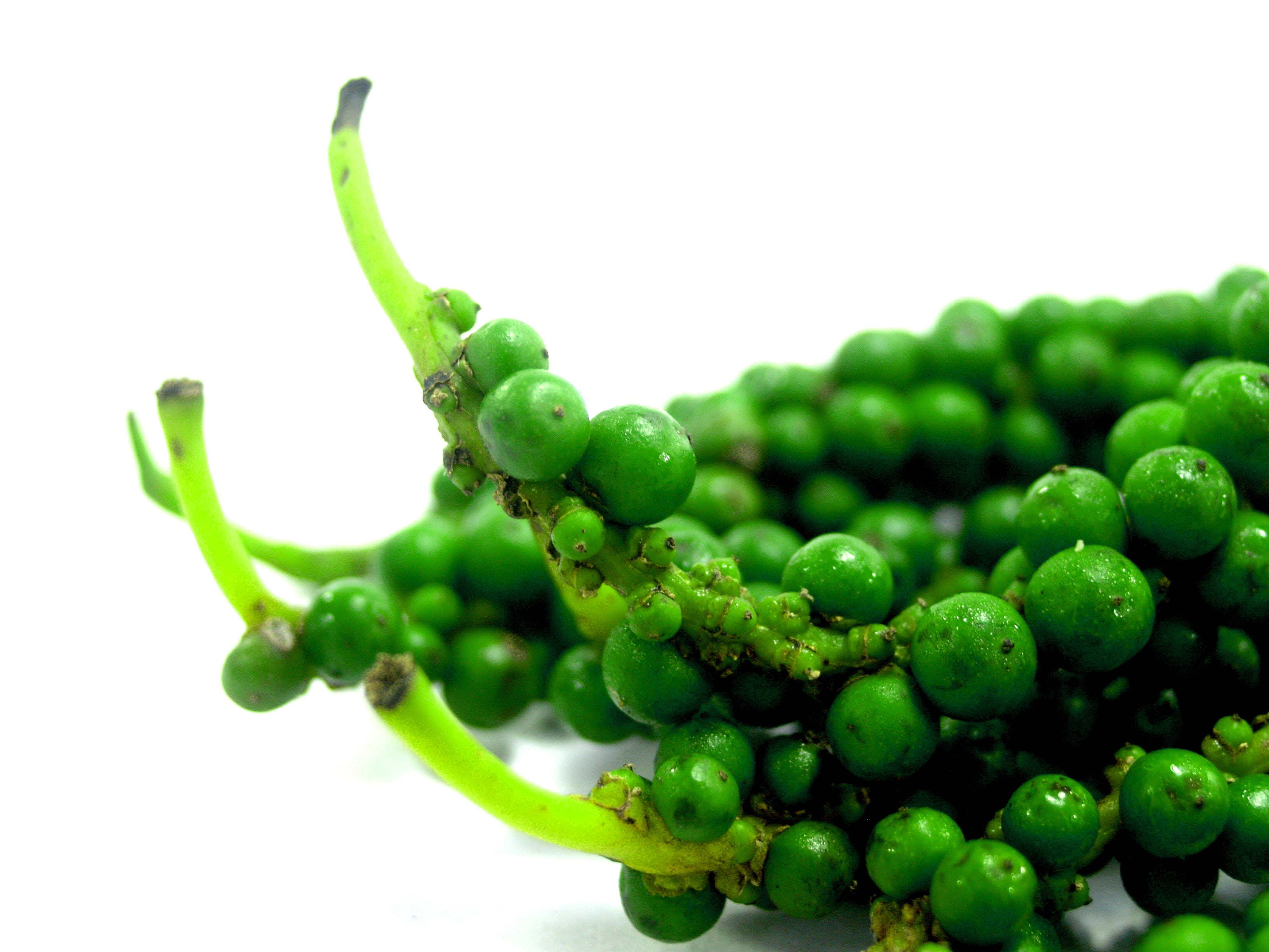 vegetable, antioxidant, vegetarian food, exotic, 2K, no people, pile, aromatic, kitchen, white background, hot, green color, black, corn, fruit, raw food, HD Wallpaper