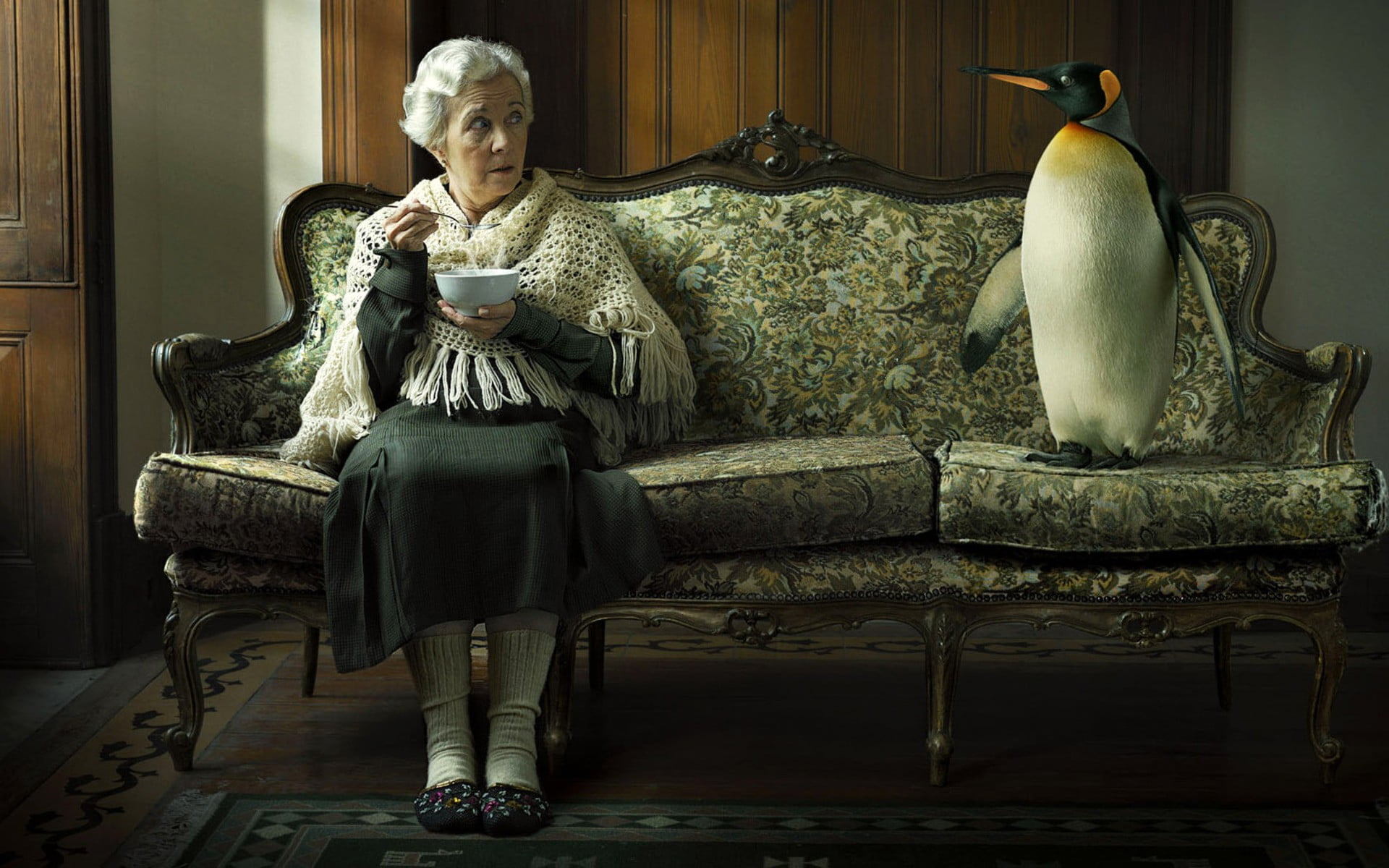 luxury, black, soup, seat, contemplation, birds, set, penguins, antique, old people, the past, 1080P, armchair, indoors, brown, sitting, chair, adult, HD Wallpaper