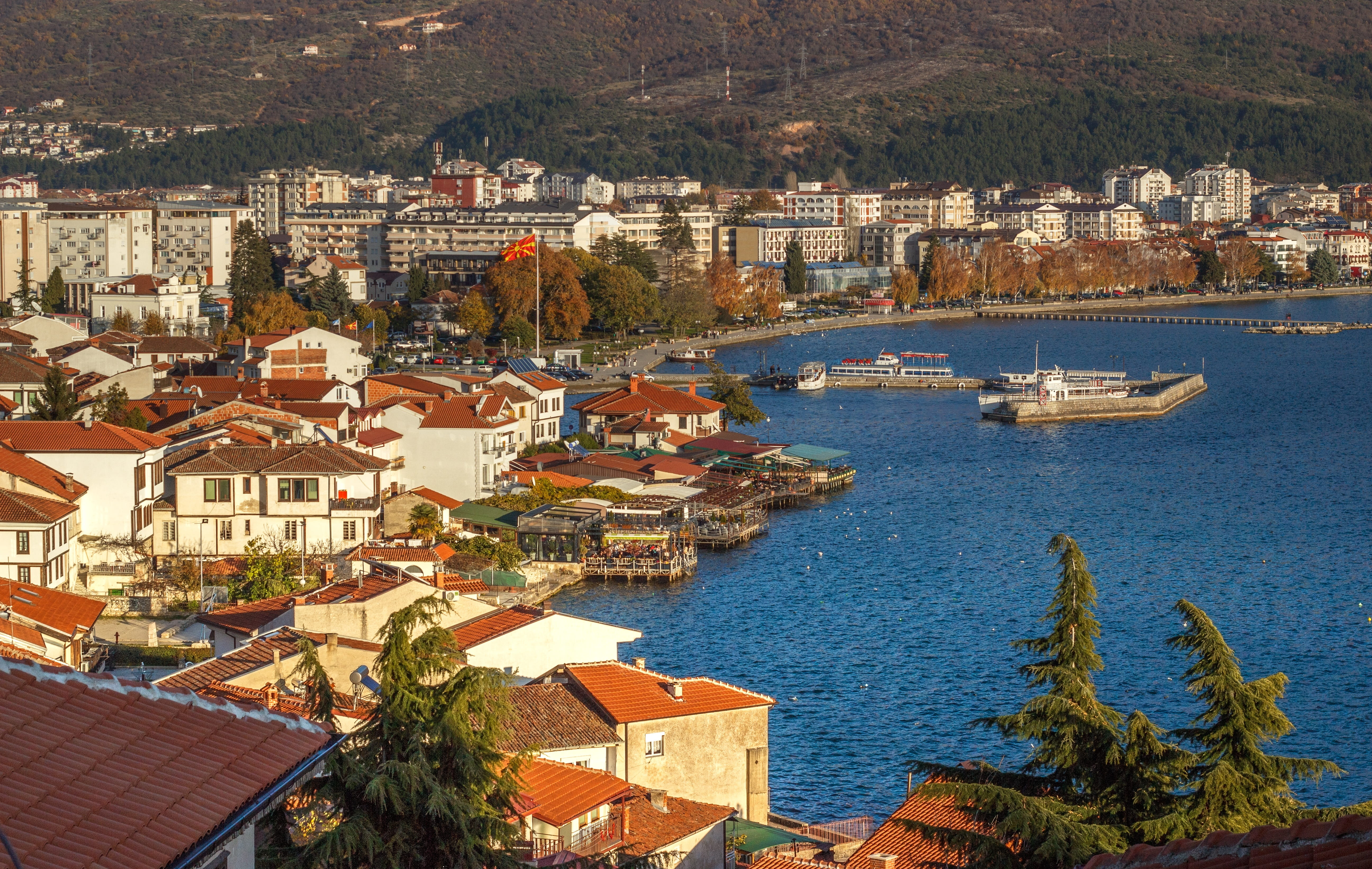 plant, city, tree, nature, building exterior, community, building, high angle view, ohrid town, macedonia, outdoors, 5K, architecture, lake, tourism, day, HD Wallpaper