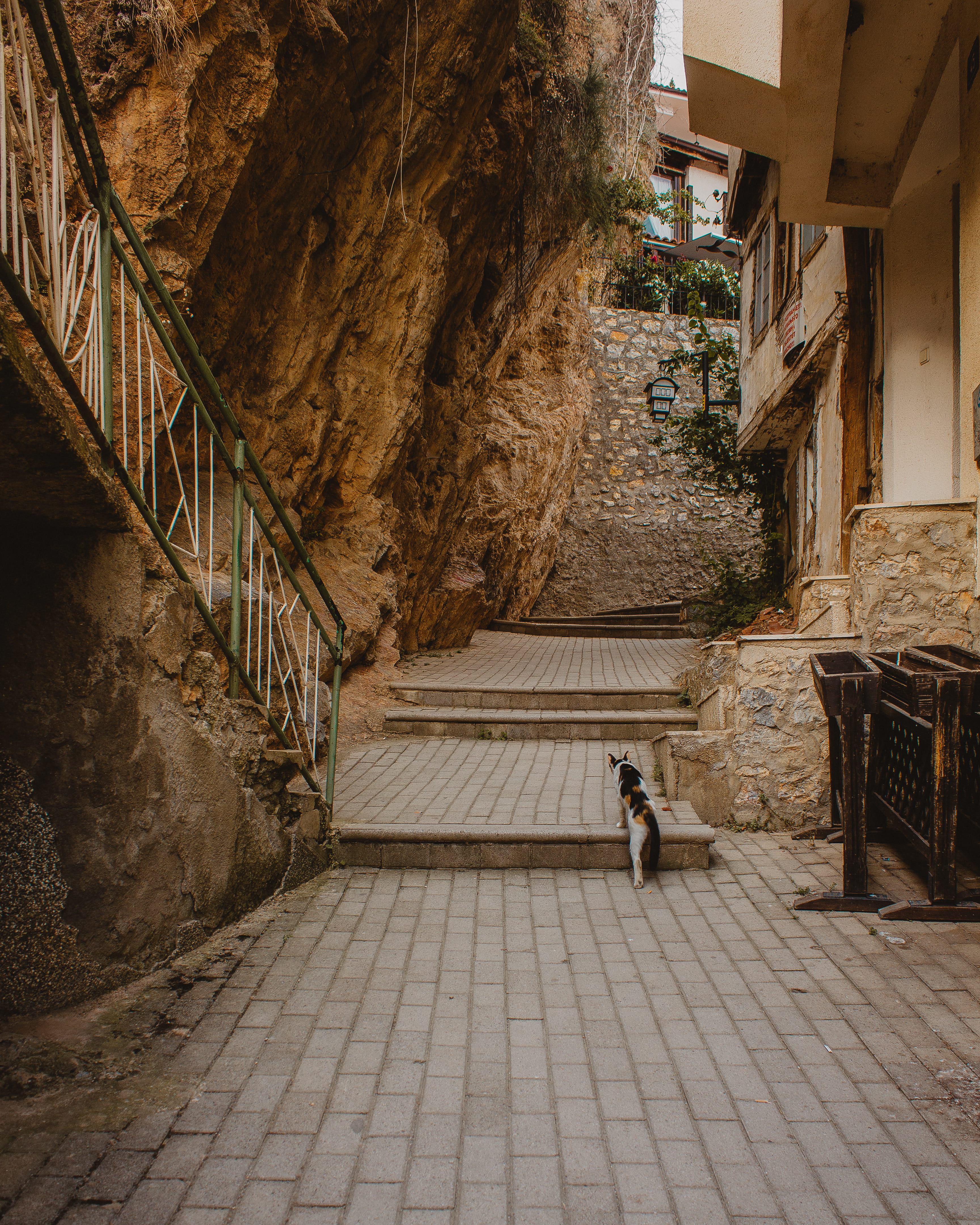 building, cat, direction, leisure activity, architecture, footpath, old town, street, macedonia, rear view, building exterior, macedonia (fyrom), women, Phone HD Wallpaper