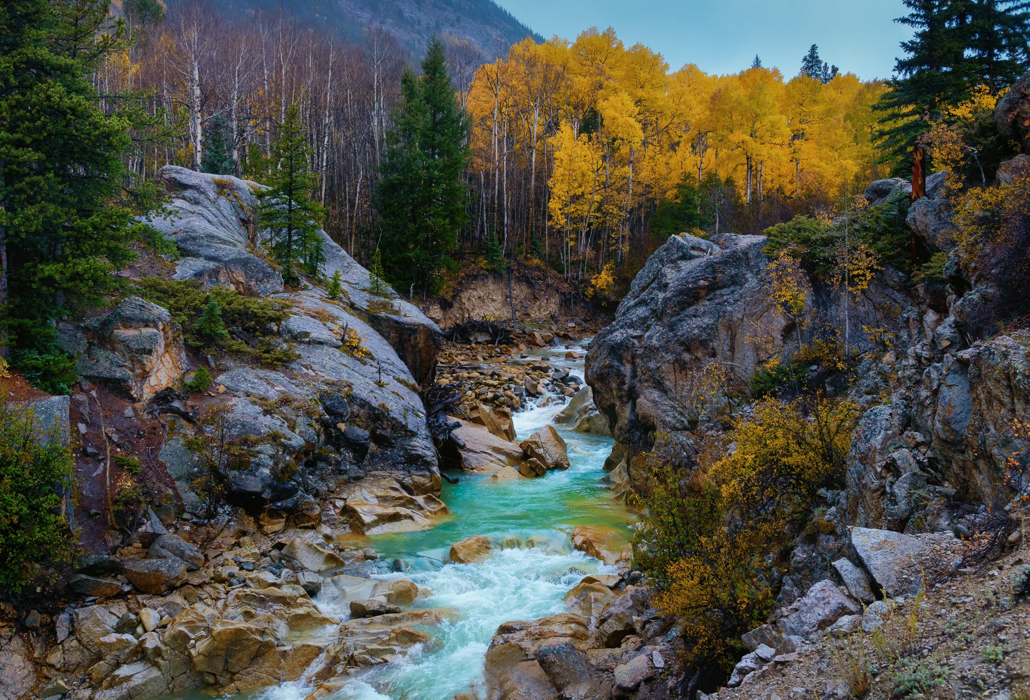 Rocky Mountains, autumn, river, rocks, stones, 1080P, Colorado, Independence Pass, trees, HD Wallpaper