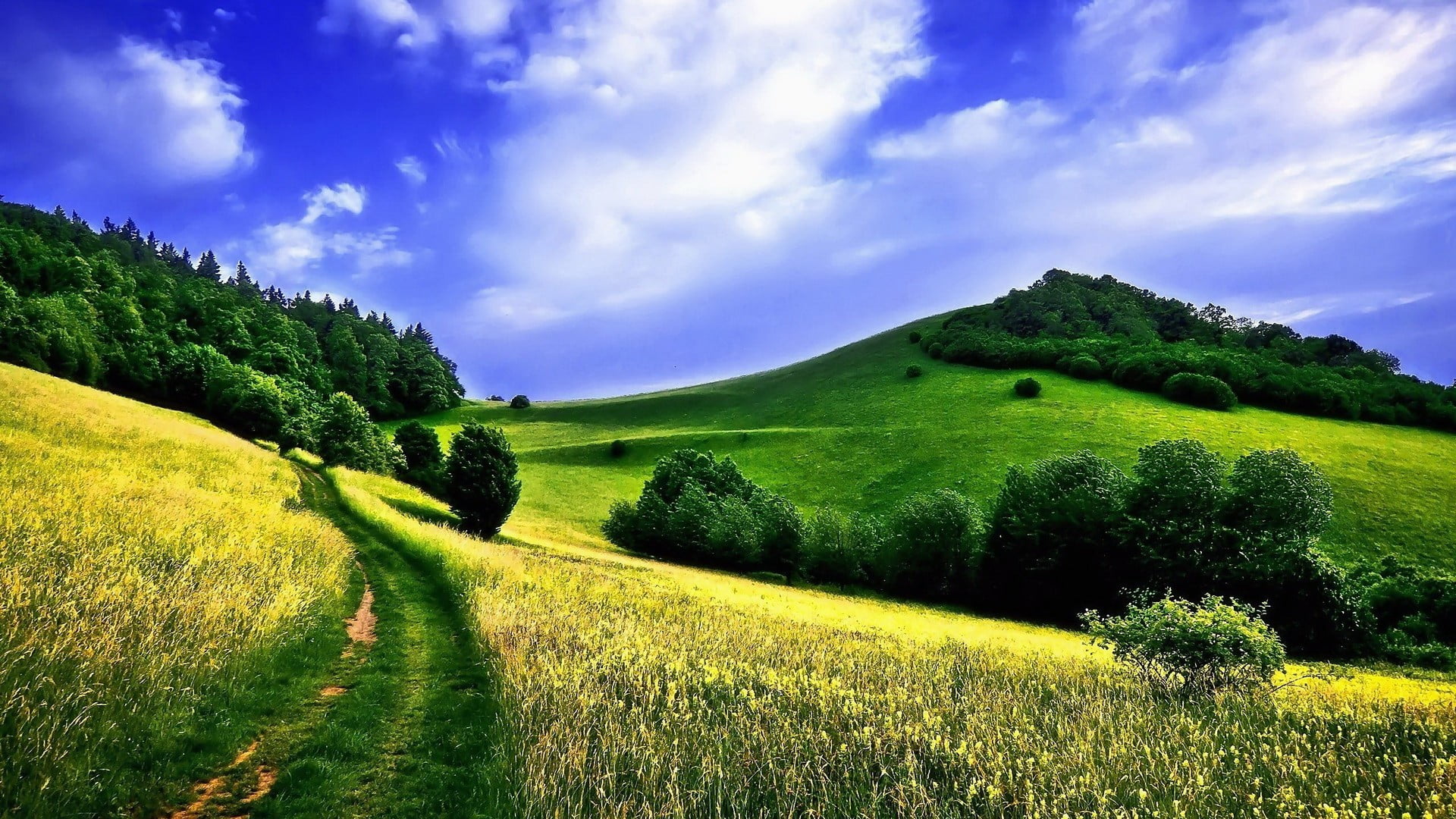 plant, non-urban scene, growth, tranquility, hills, field, green color, scenics - nature, cloud - sky, beauty in nature, rural scene, 1080P, covered, summer, HD Wallpaper