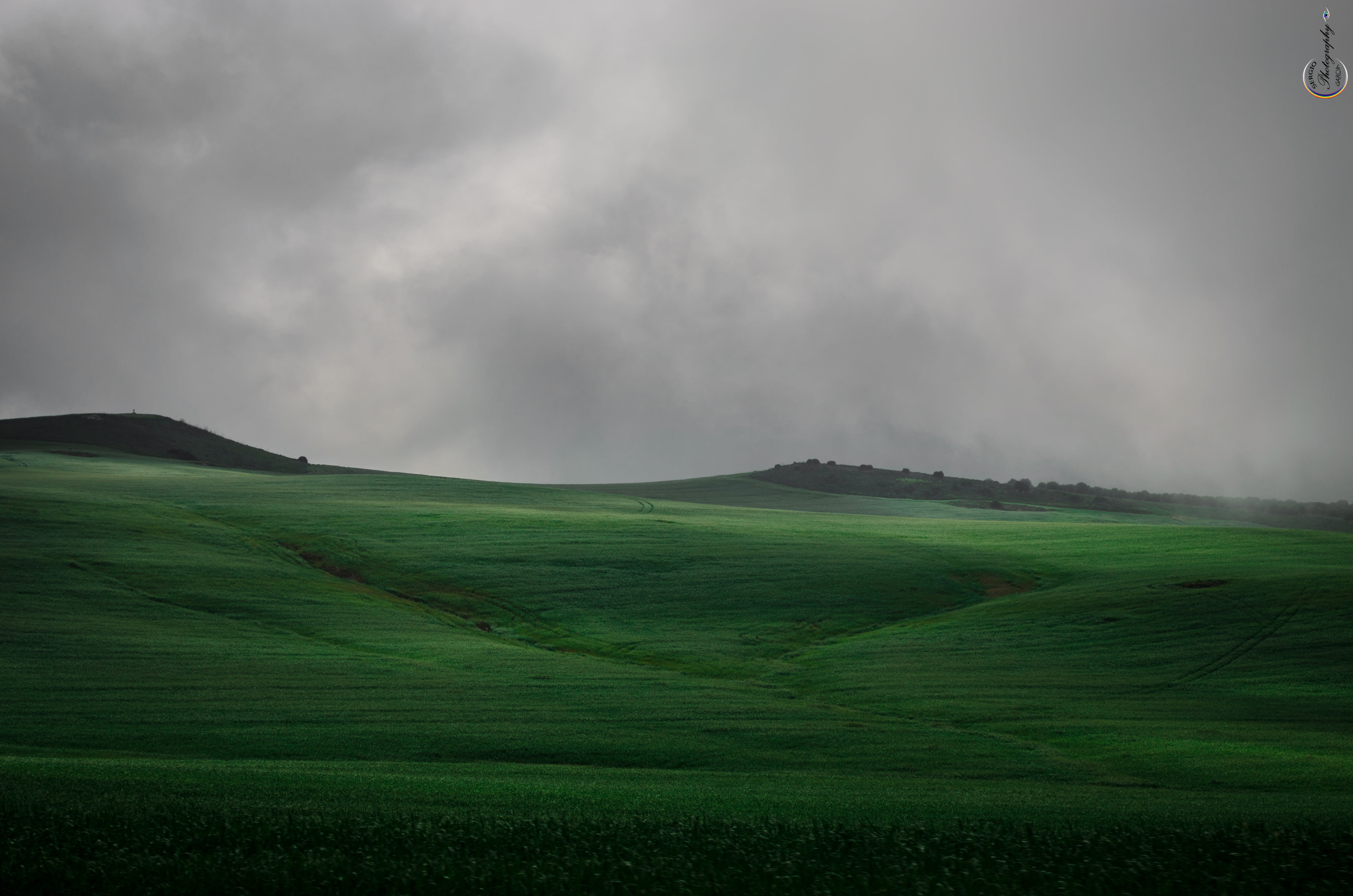 plant, landscape, beauty in nature, no people, nature, mist, outdoors, agriculture, niebla, rural scene, non-urban scene, cloud - sky, green, scenics - nature, HD Wallpaper