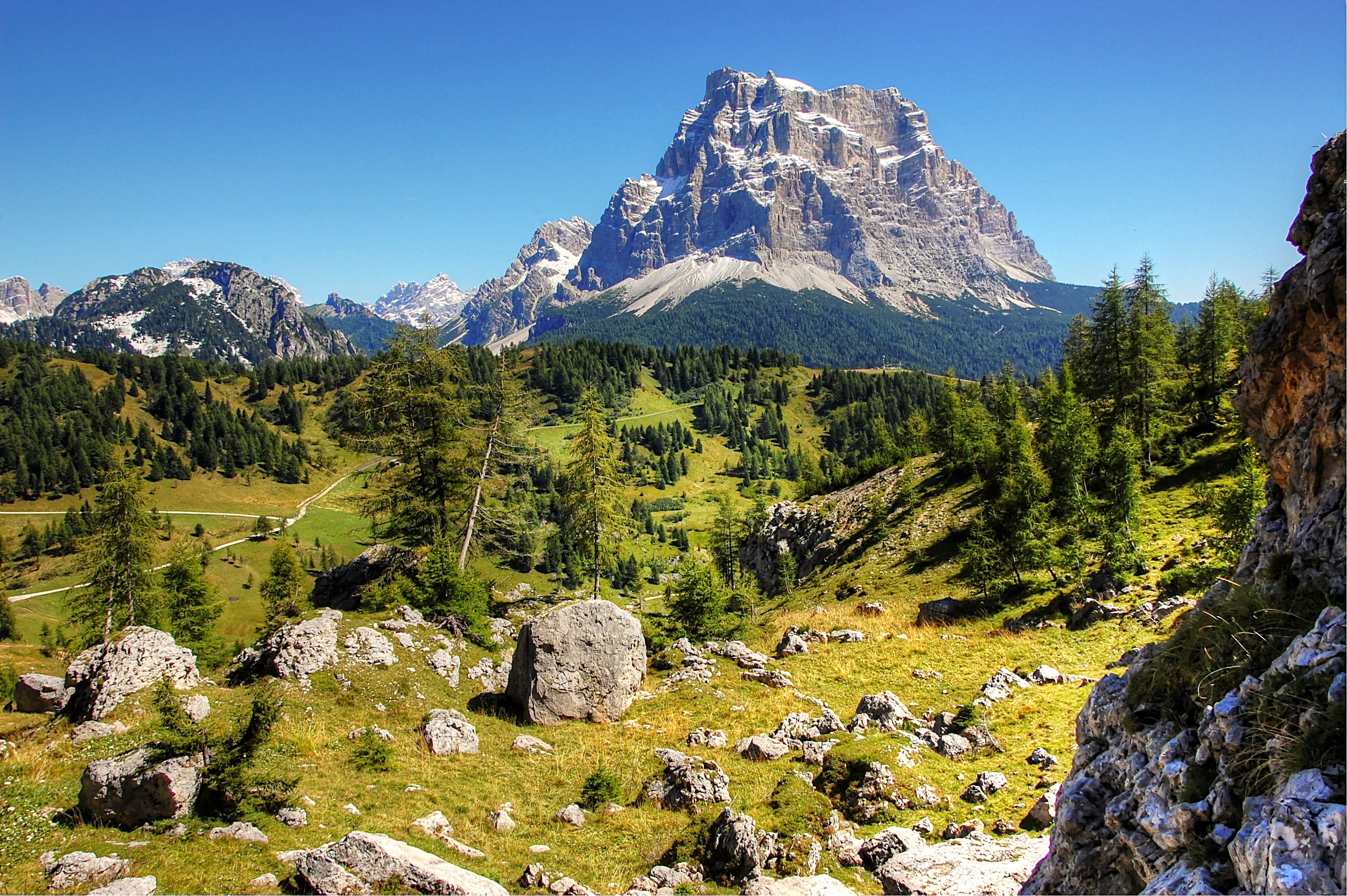 nature, outdoors, unesco world heritage, belluno, rock - object, pine tree, tranquil scene, no people, italy, coniferous tree, solid, tranquility, pine woodland, HD Wallpaper