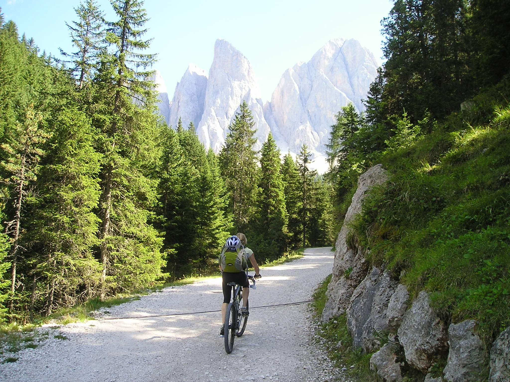 scenics - nature, riding, tree, transalp, mountains, nature, land vehicle, leisure activity, bike, road, geisler range, bicycle, lifestyles, cyclists, transportation, HD Wallpaper