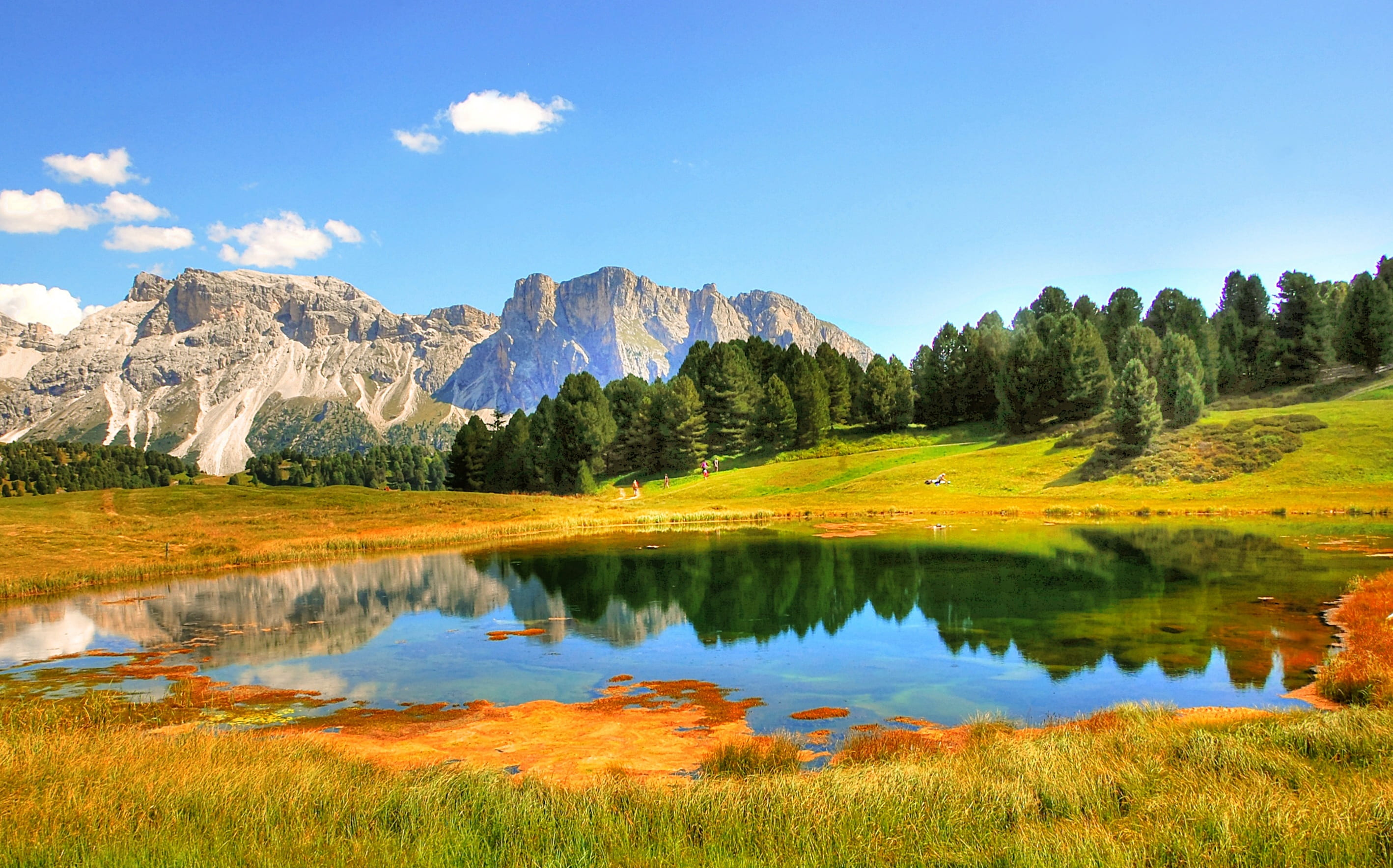 italy, south tyrol, beauty in nature, hut, 2K, mood, coniferous tree, blue, rock, tranquil scene, pine woodland, reflection, meadow, pine tree, environment, HD Wallpaper