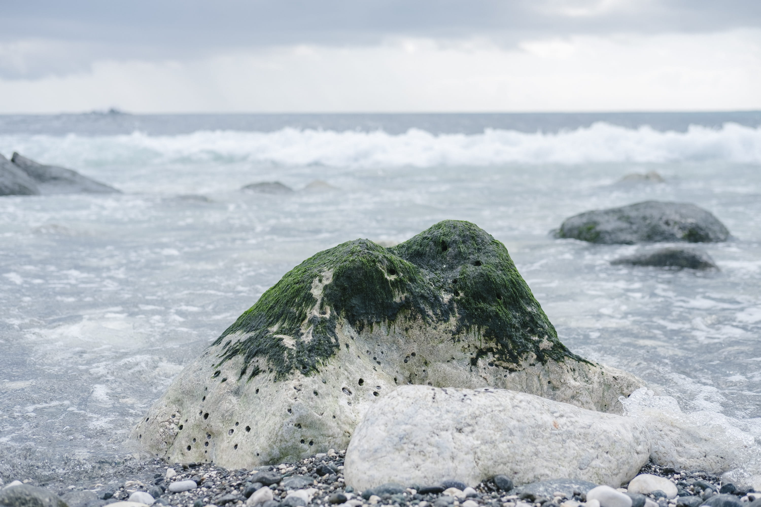plant, taiwan, slate, rock - object, pebble, sea, coast, tranquil scene, shoreline, ocean, solid, outdoors, hualien county, sky, 2K, field, rock, water, HD Wallpaper