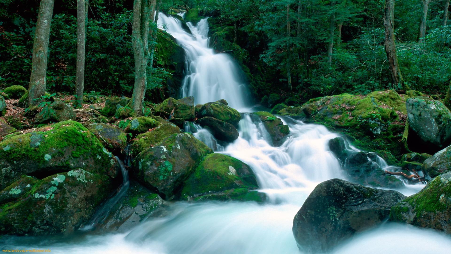 1080P, smokey, waterfall, nature and landscapes, stones, mountain, beautiful, mountains, great, forest, HD Wallpaper