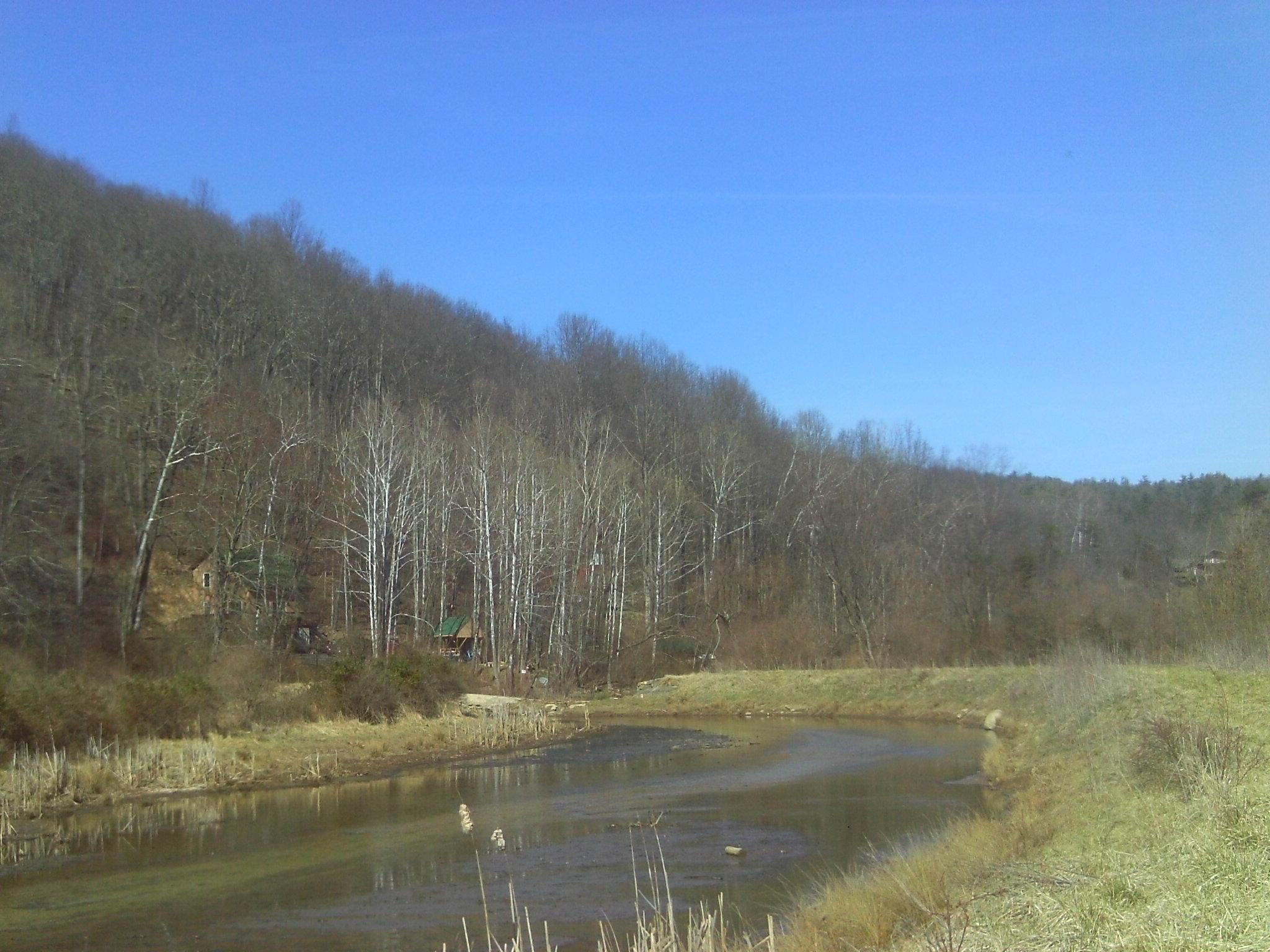 along, 3d and abstract, creek, pictures, trees, cat tails, 1080P, HD Wallpaper