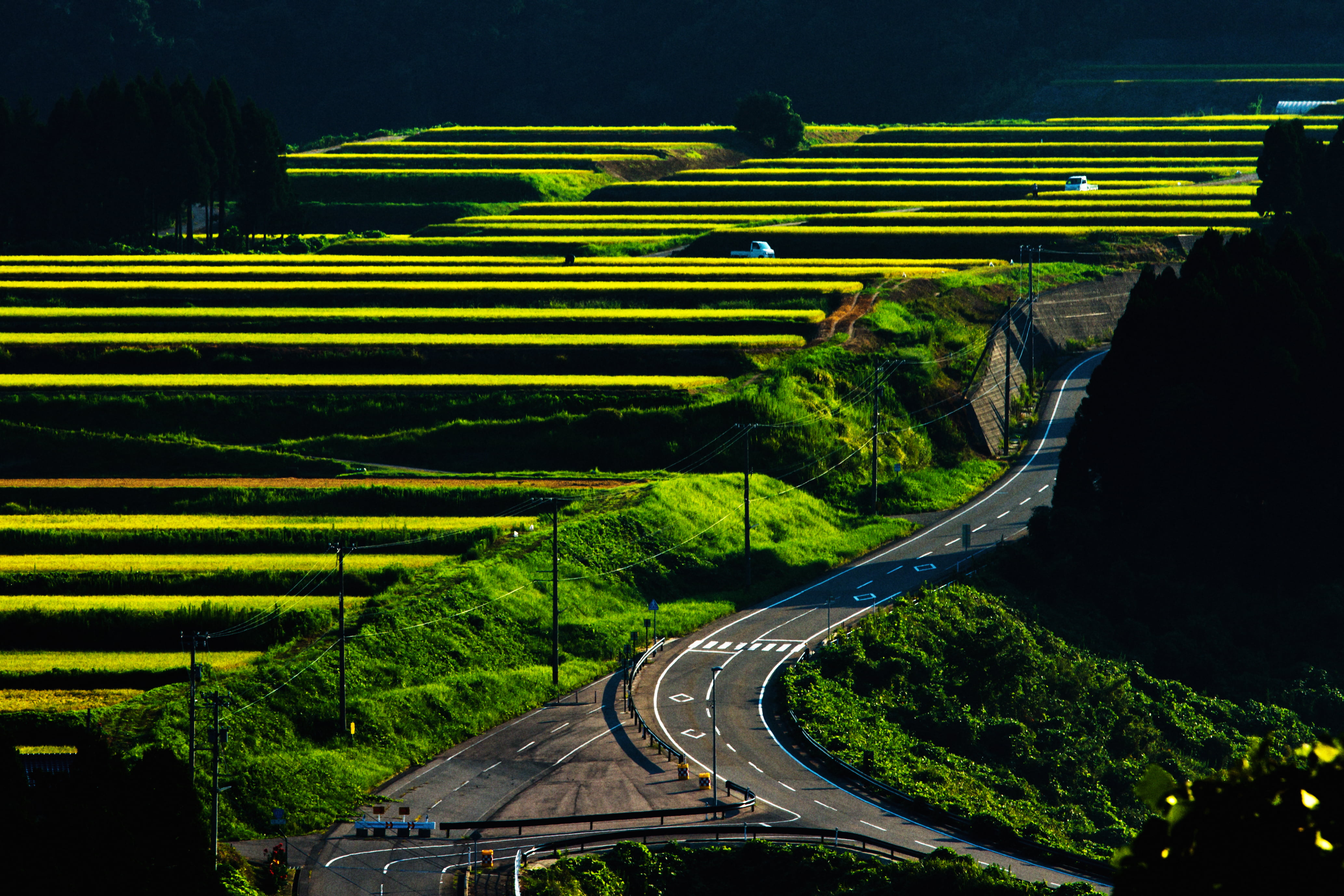 IMG, countryside, road, agriculture, aerial photo, aerial, photo, beside, nature, japan, greenfield, 4K, HD Wallpaper