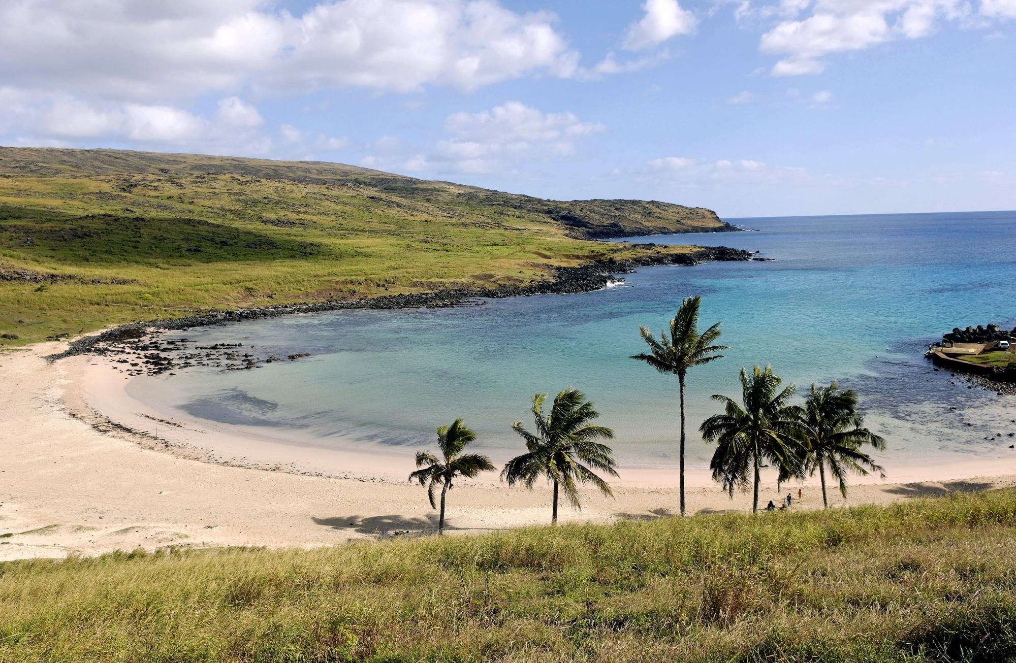 outdoors, 1080P, green, Chile, tranquility, Beach, grass, tree, green color, Nature, Easter, non-urban scene, Anakena, day, cloud - sky, horizon over water, HD Wallpaper