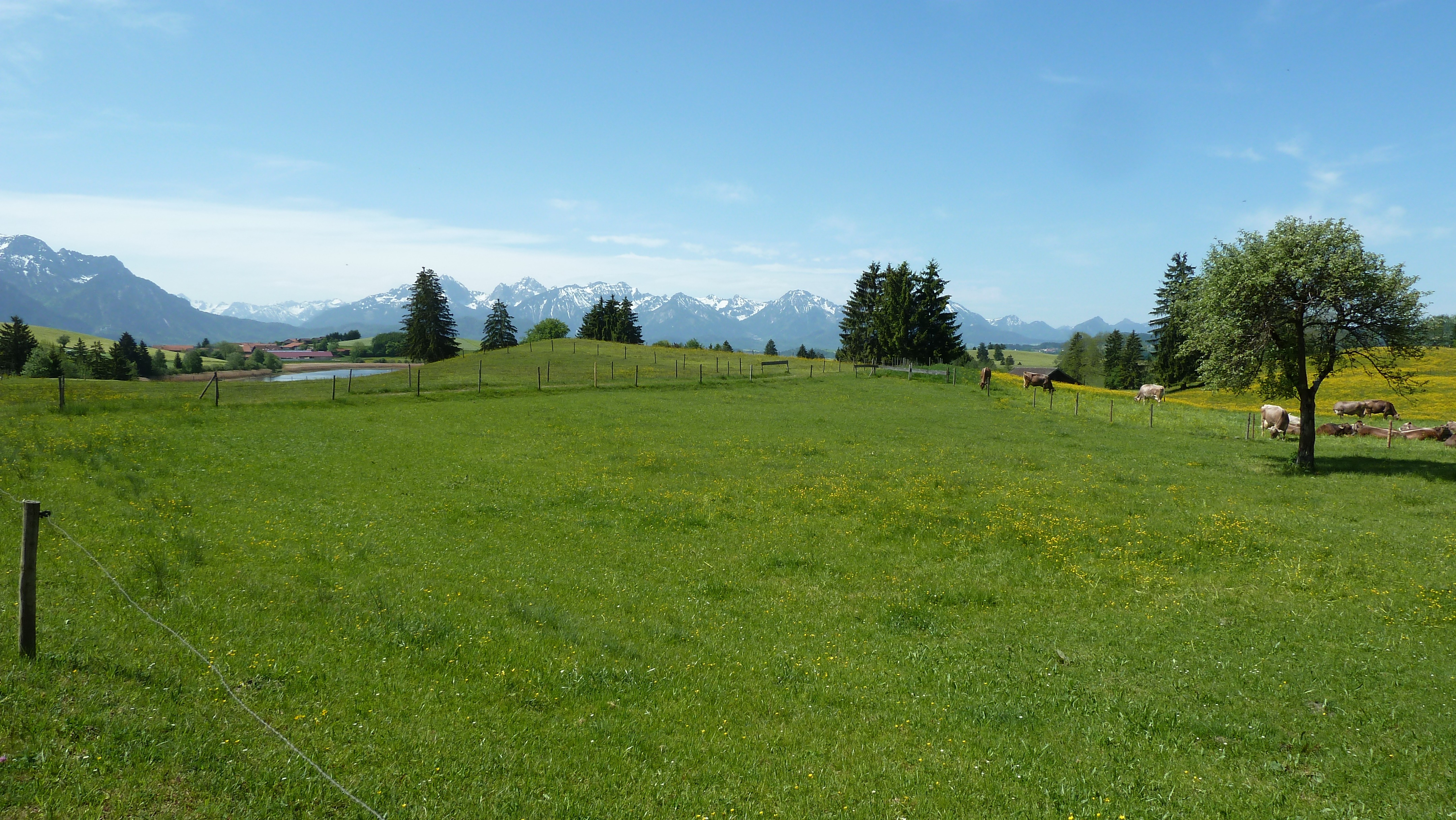 outlook, mountain range, day, sky, tree, beauty in nature, flowers, scenics - nature, environment, meadow, plant, greenfield, grass, tranquility, mountains, HD Wallpaper