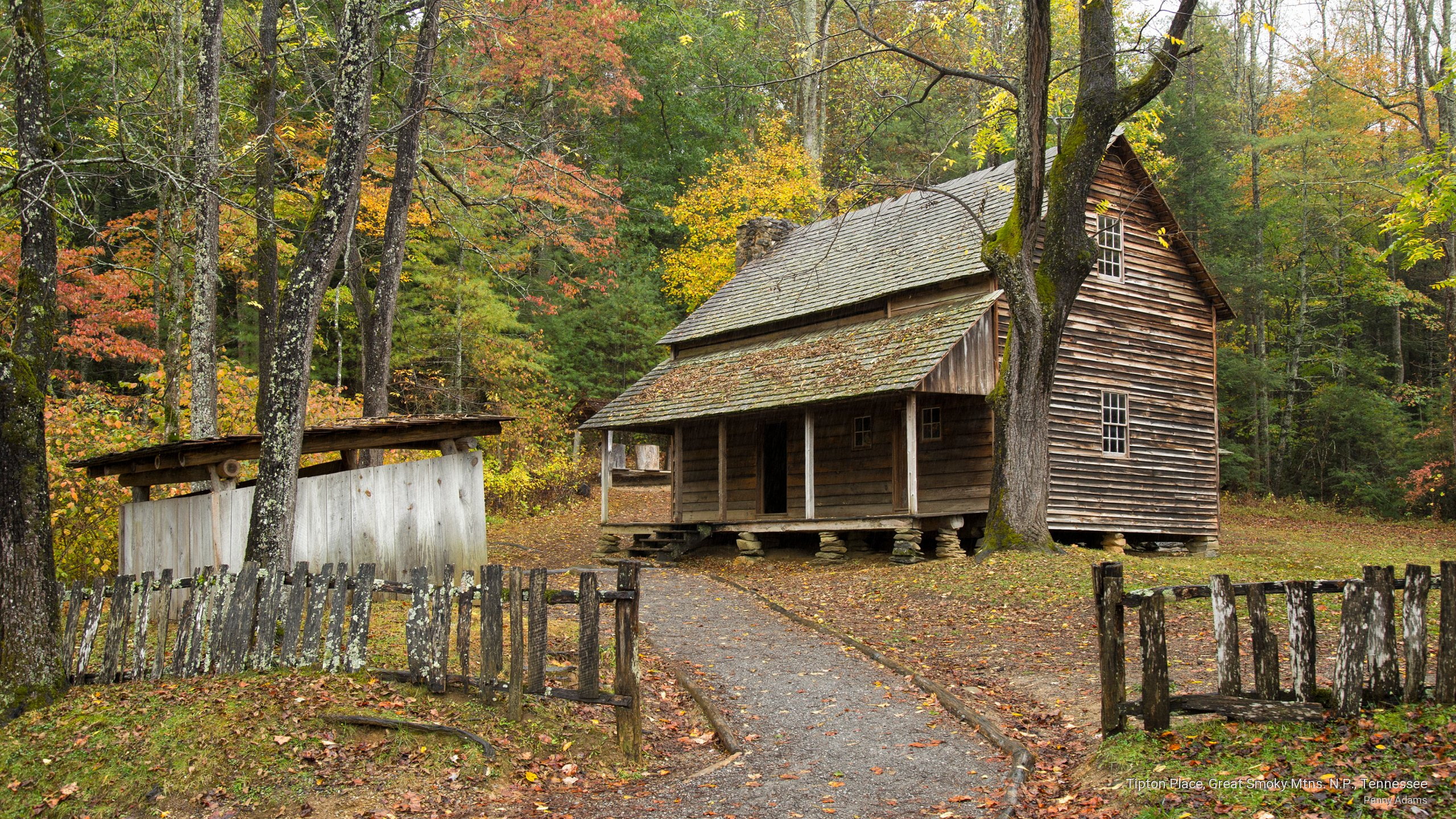 great, National Parks, mtns, n, 2K, place, tennessee, tipton, smoky, p, HD Wallpaper