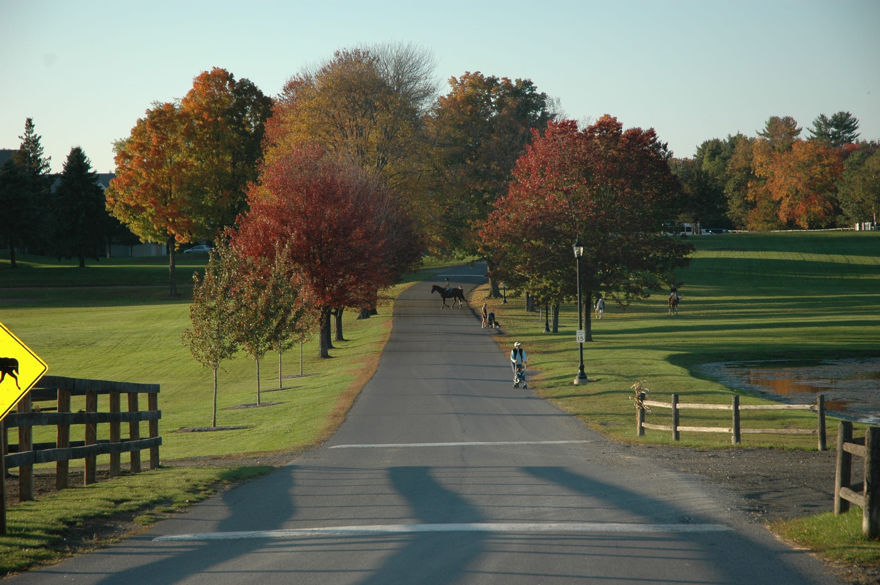day, fence, tranquility, park - man made space, horse, Landscape, tree, massachusetts, footpath, grass, outdoors, fall, sunlight, brown, fields, trees, HD Wallpaper