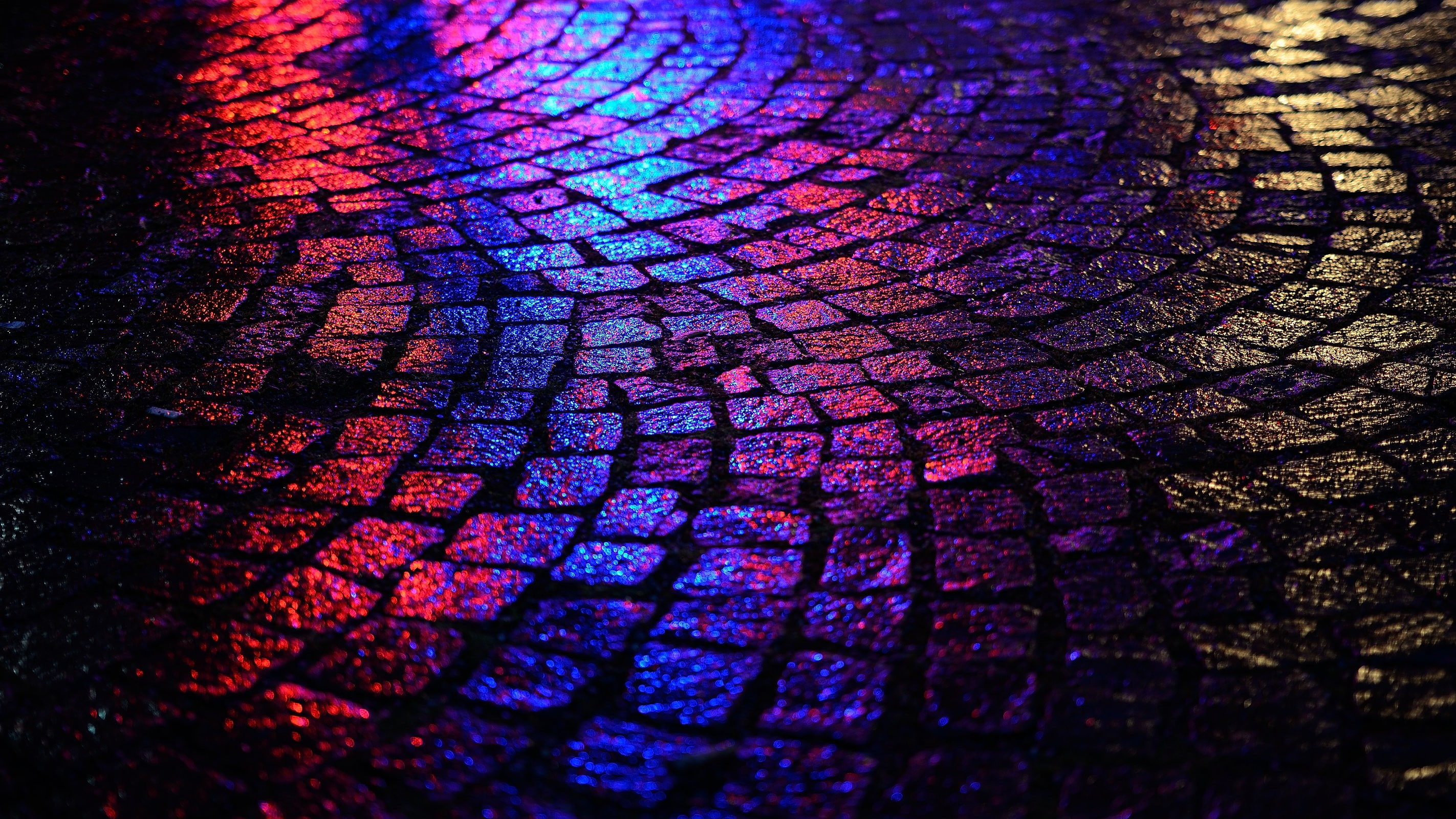 purple, red, 2K, blue, road, wet street, yellow, black, pavements, lights, HD Wallpaper