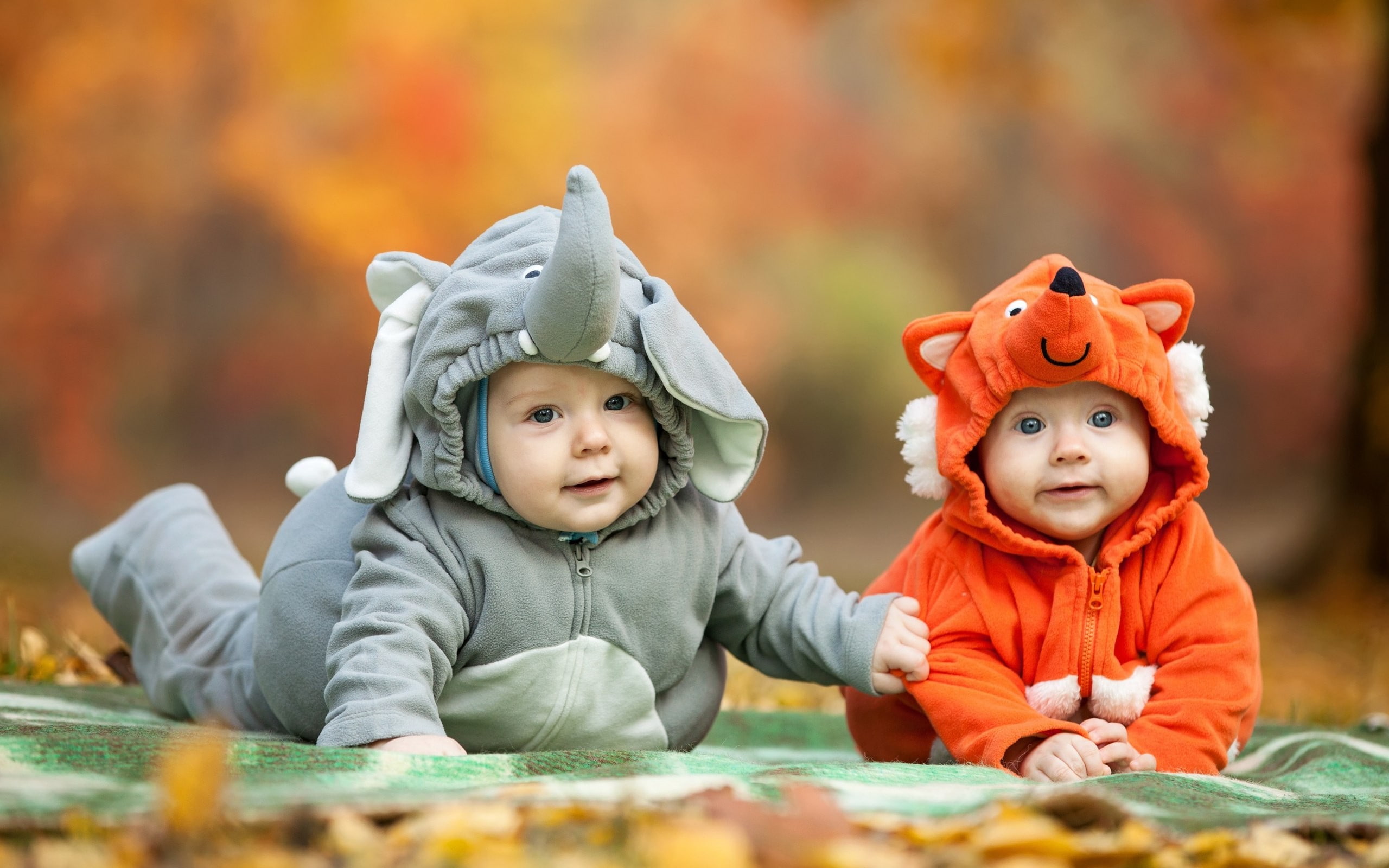 on the floor, cute, 2K, toddler, togetherness, innocence, autumn, animal representation, representation, change, front view, baby, clothing, selective focus, HD Wallpaper