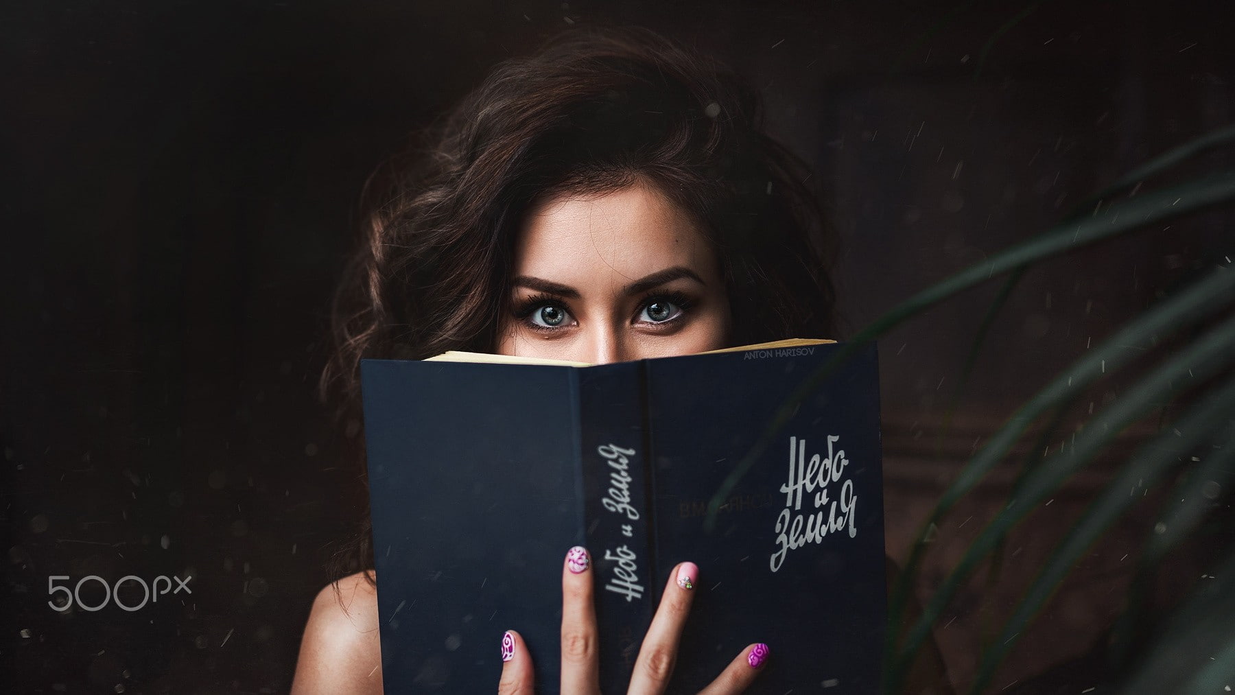beautiful woman, headshot, books, face, reading, holding, women, adult, learning, painted nails, eyes, Rimma Ajmetzhanova, book, 500px, front view, young adult, HD Wallpaper