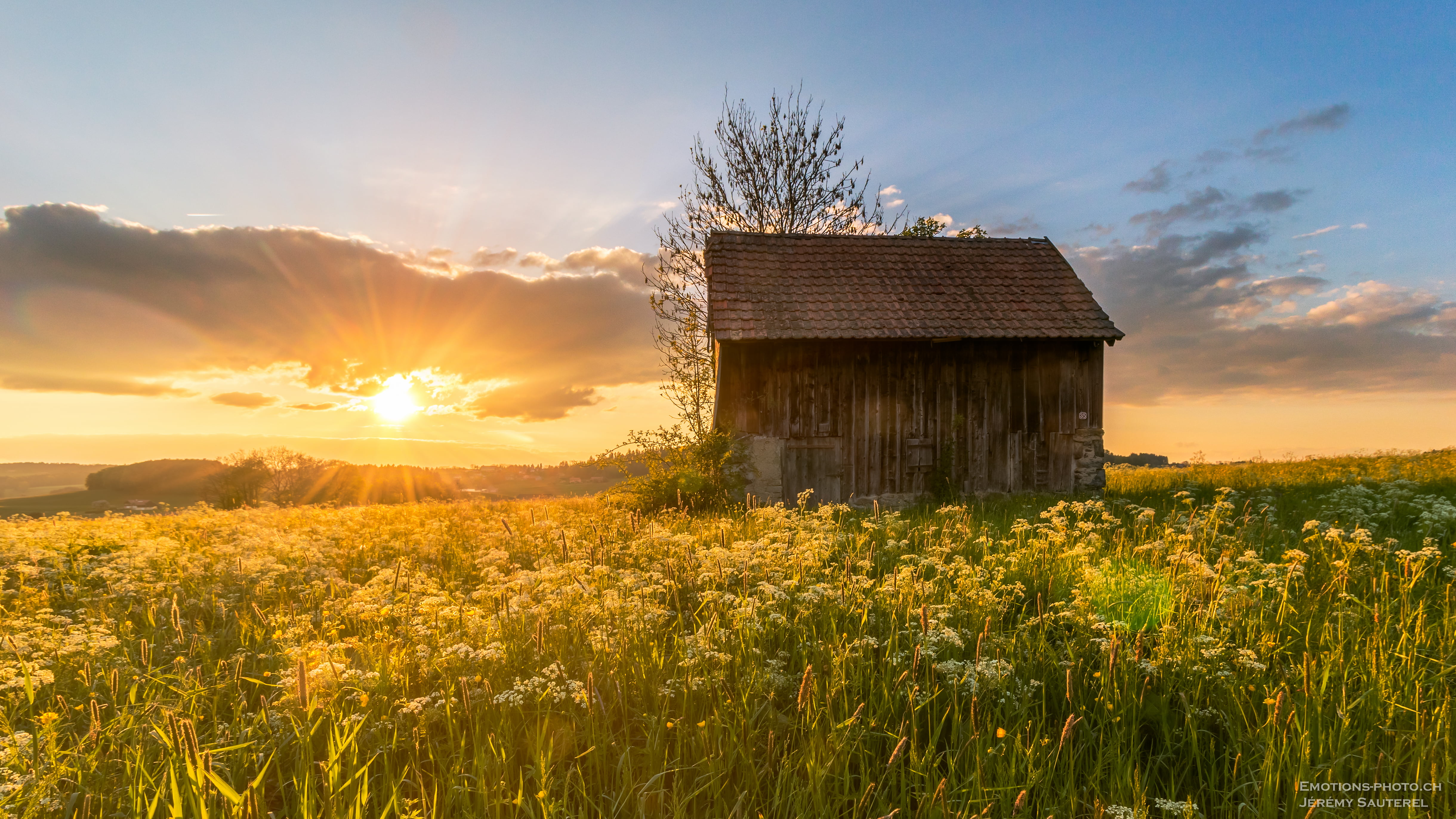 forest, grass, sunray, Suisse, CH, house in the middle, scenics, veveyse, peasant, middle, non-Urban Scene, grange, sun, Fribourg, meadow, rural Scene, HD Wallpaper
