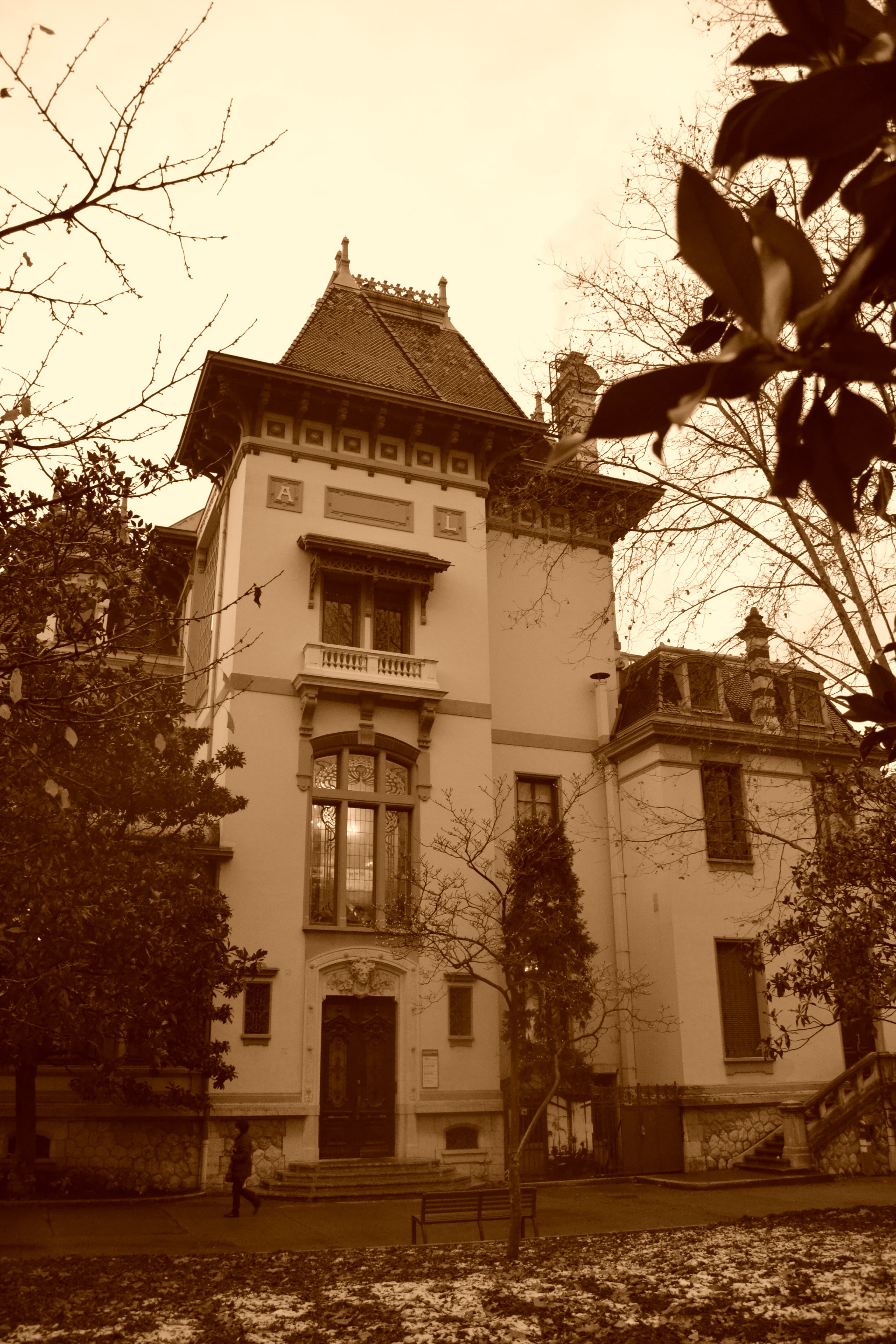 building, house, sepia, architecture, day, lyon, plant part, black And White, window, building Exterior, sepia Toned, leaf, lumière brothers, residential district, Phone HD Wallpaper
