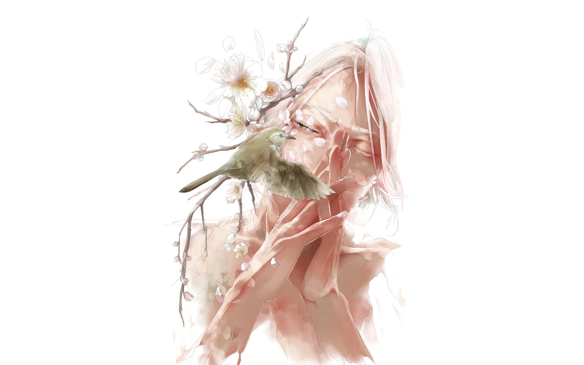 indoors, close-up, studio shot, freshness, flowering plant, beauty in nature, copy space, white, anime boys, no people, flower, cut out, white color, inflorescence, HD Wallpaper
