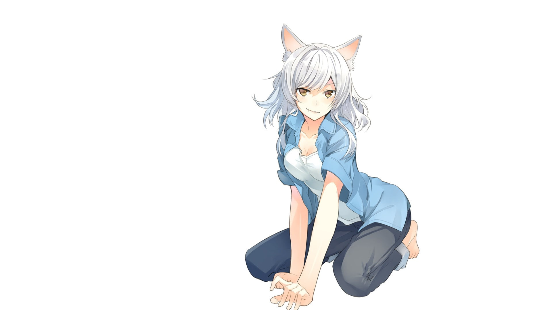 females, young adult, simple background, disguise, young women, Monogatari Series, nekomimi, white hair, obscured face, full length, Sawarineko, cut out, HD Wallpaper