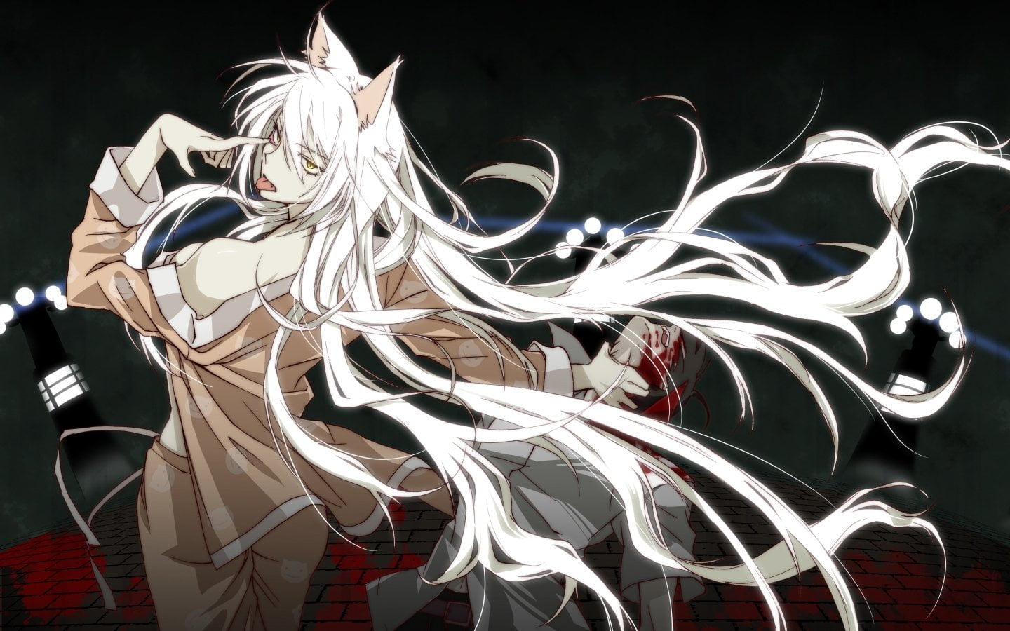Monogatari (Series), representation, human representation, pattern, glowing, nature, no people, Anime, craft, White Hair, design, studio shot, 720P, night, HD Wallpaper