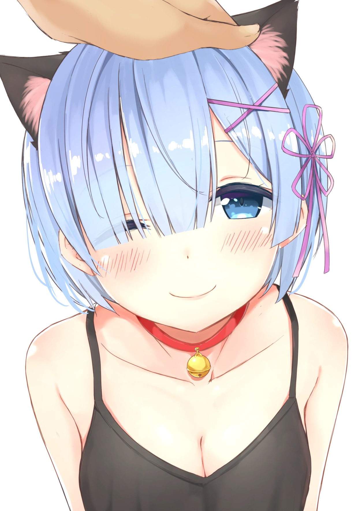 nekomimi, indoors, human body part, females, front view, fashion, blushing, anime girls, young women, short hair, portrait, lifestyles, people, blue hair, Phone HD Wallpaper