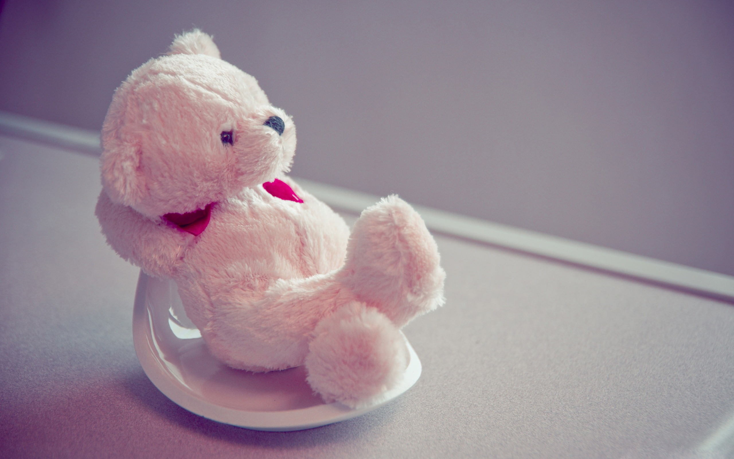 animals, beautiful, cute, hd, teddy, bears, 2K, bear, photography, art, HD Wallpaper