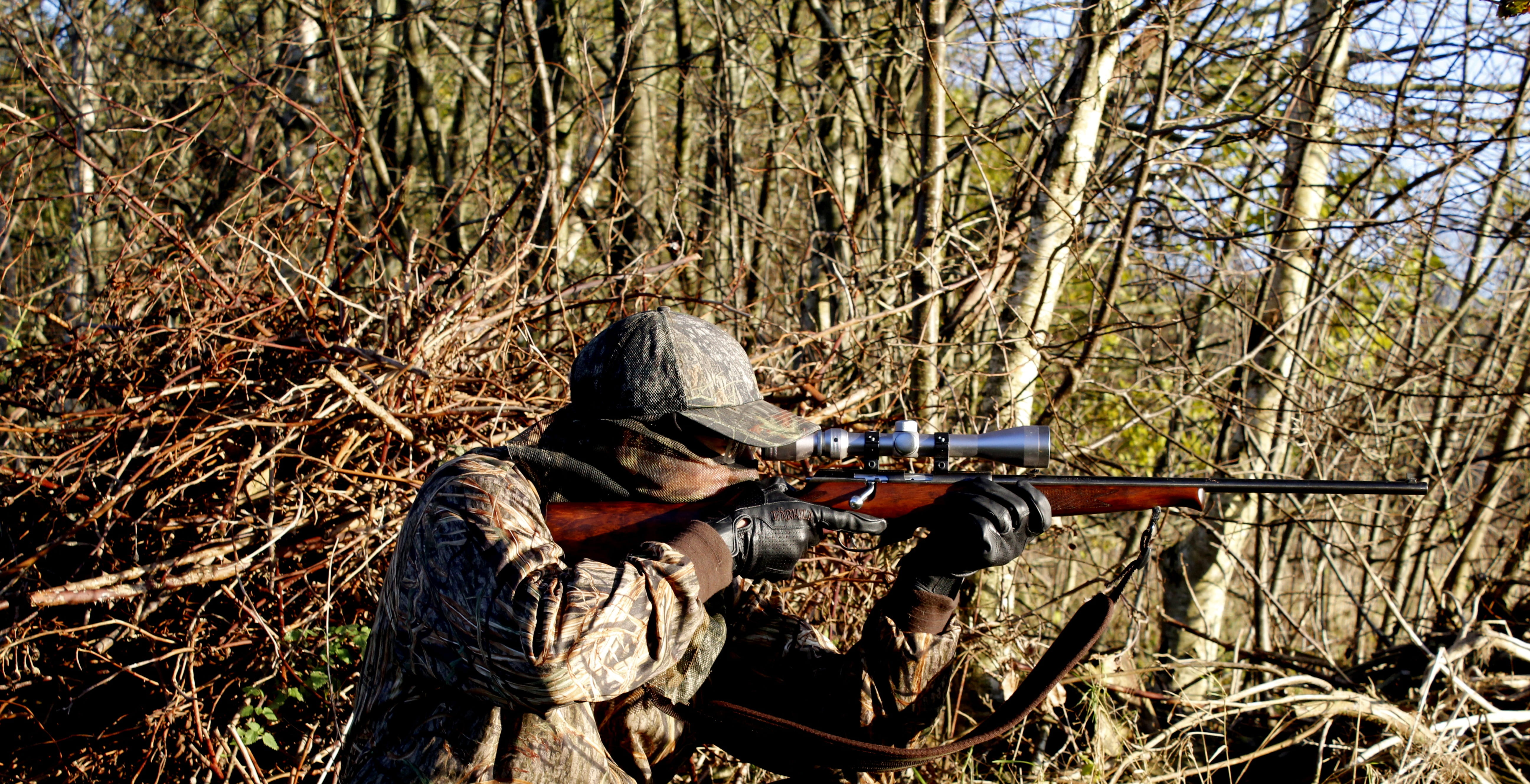 plant, hunter, day, field, holding, concentration, real people, weapon, outdoors, gun, one person, aiming, government, shooting a weapon, rifle, woodland, HD Wallpaper