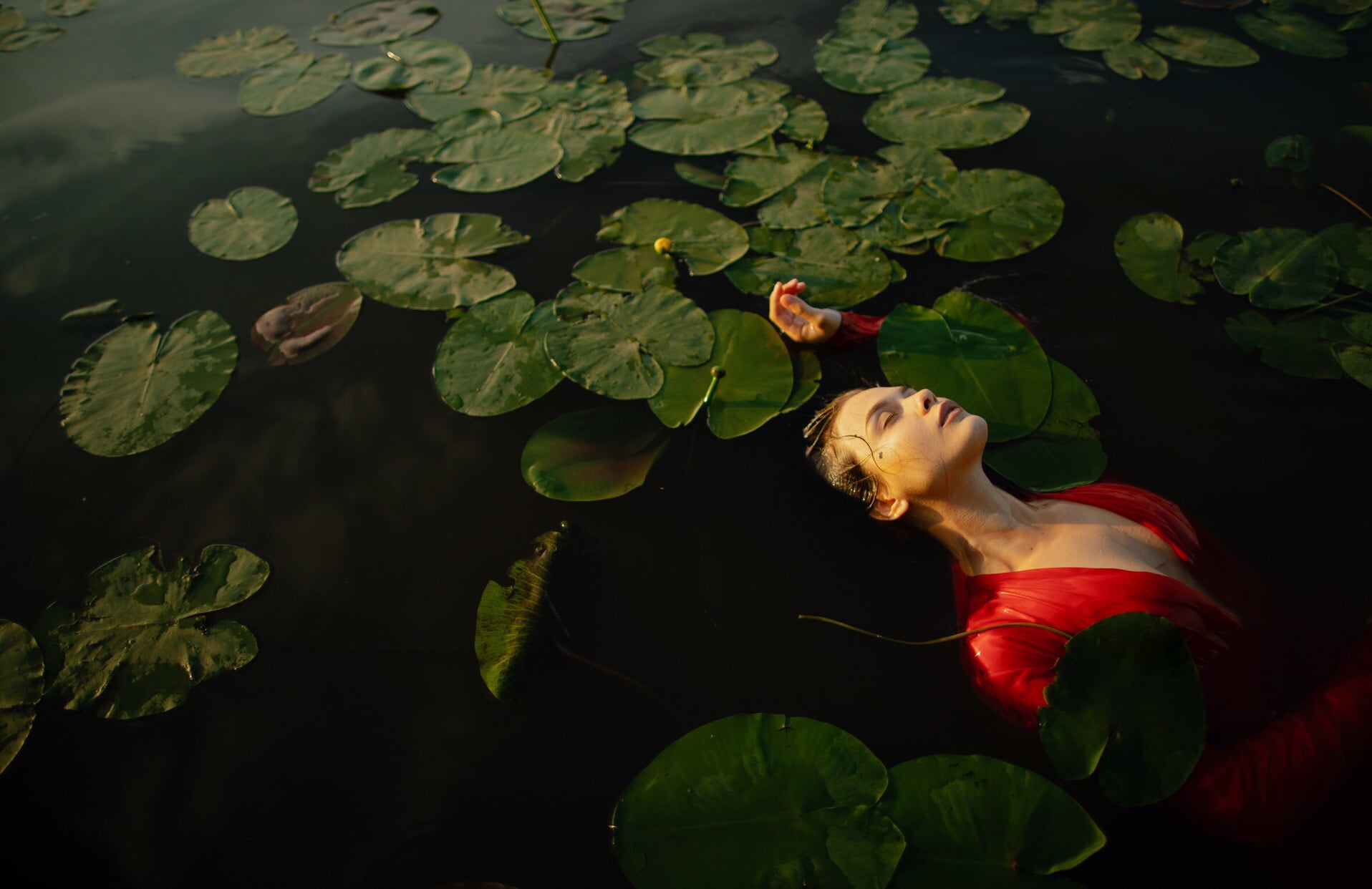 one person, beauty in nature, digital composite, plant, water, leaf, leaves, green color, wet clothing, brunette, closed eyes, water lilies, plant part, HD Wallpaper