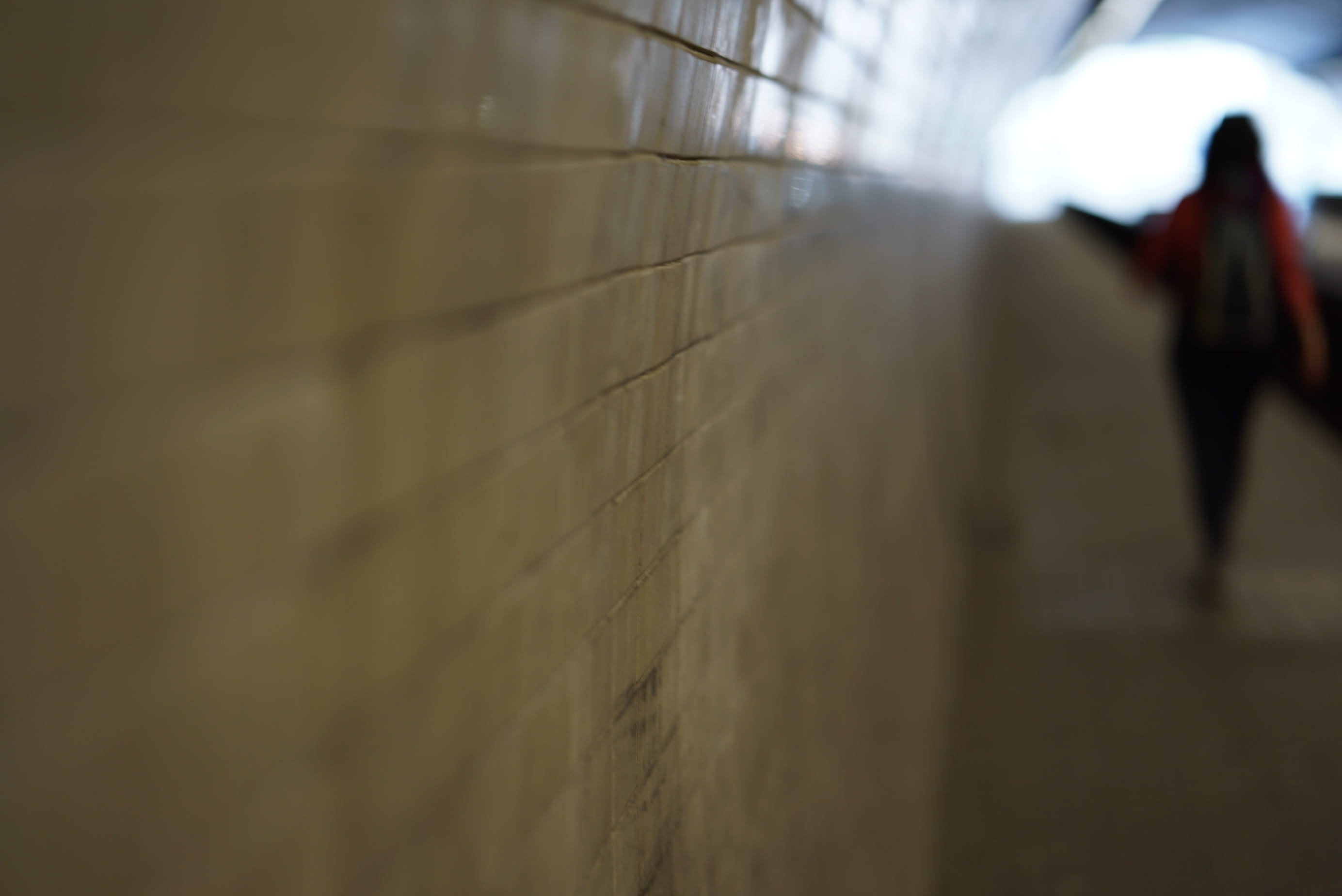 protection, outdoors, footpath, Lonely, day, race, rob, steal, Tunnel, built structure, wall, selective focus, rear view, away, men, nature, criminal, male, HD Wallpaper