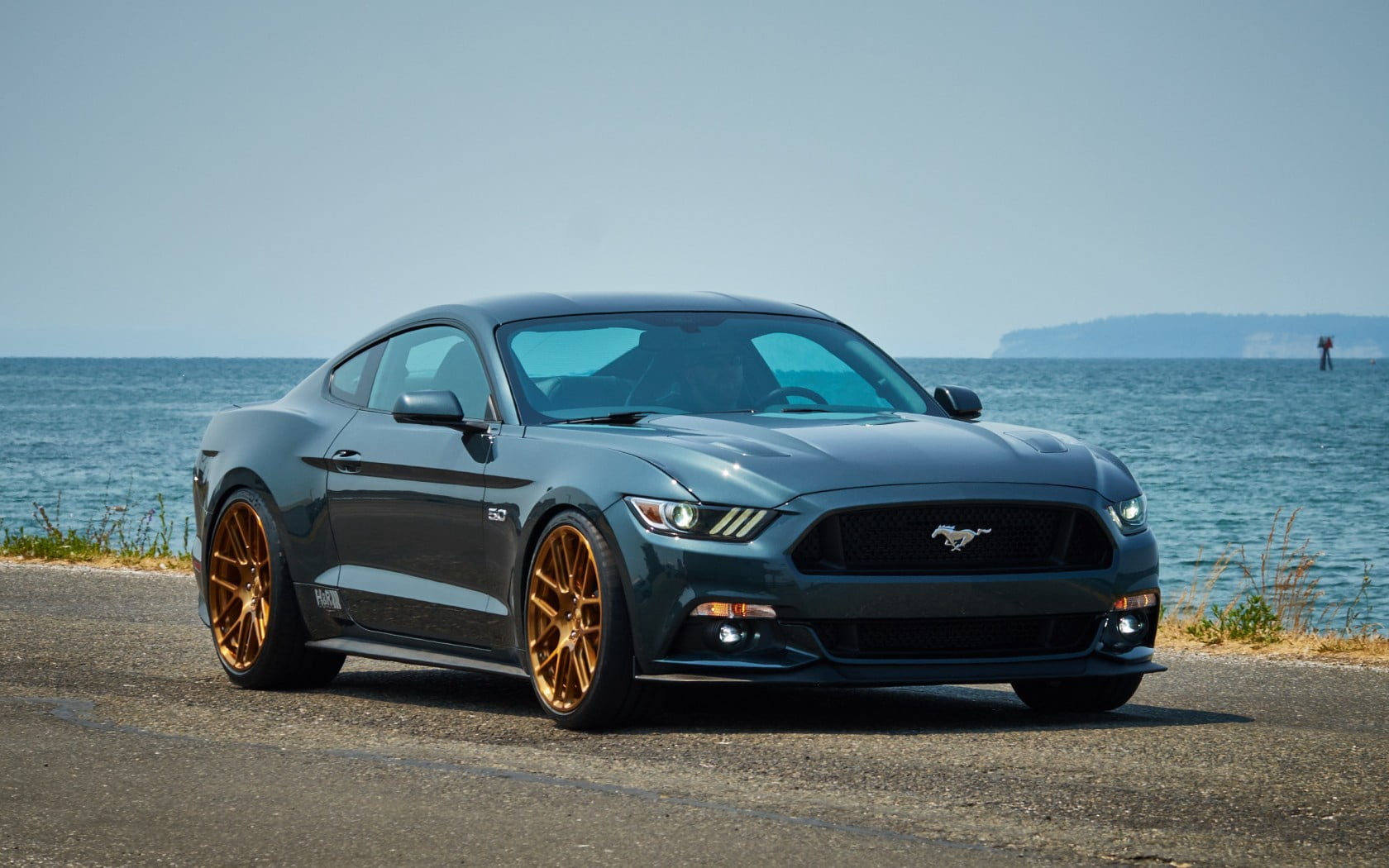 mode of Transport, sky, horizon, new, car, mustang, land Vehicle, engine, black, speed, design, horizon over water, transportation, side view, day, looking At View, HD Wallpaper