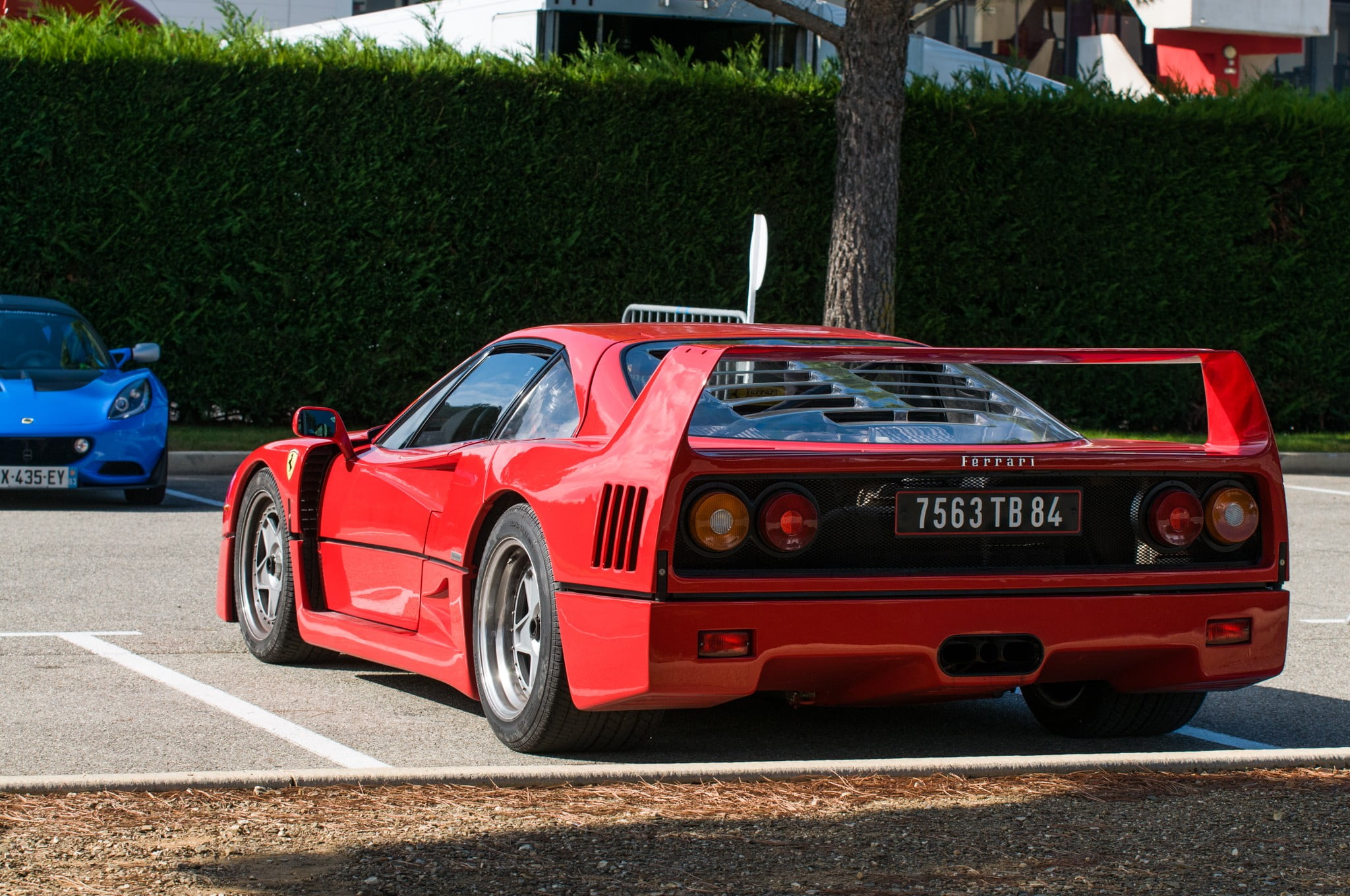 architecture, road, no people, tree, plant, sunlight, Ferrari, 1080P, supercars, retro styled, red, car, mode of transportation, land vehicle, nature, HD Wallpaper