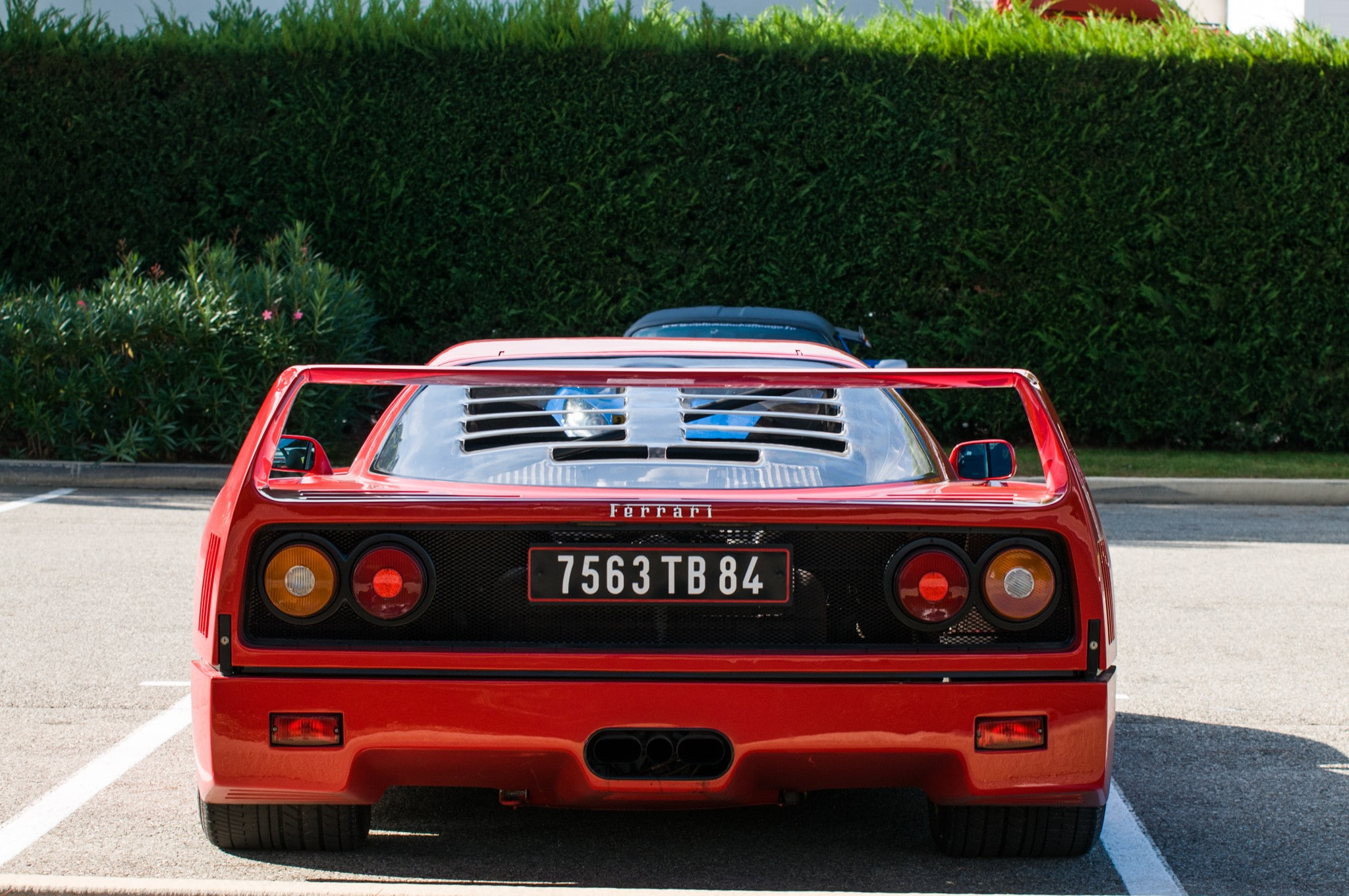 no people, road, F40, transportation, text, plant, day, nature, land vehicle, city, mode of transportation, travel, 1080P, red, Ferrari, sunlight, supercars, HD Wallpaper