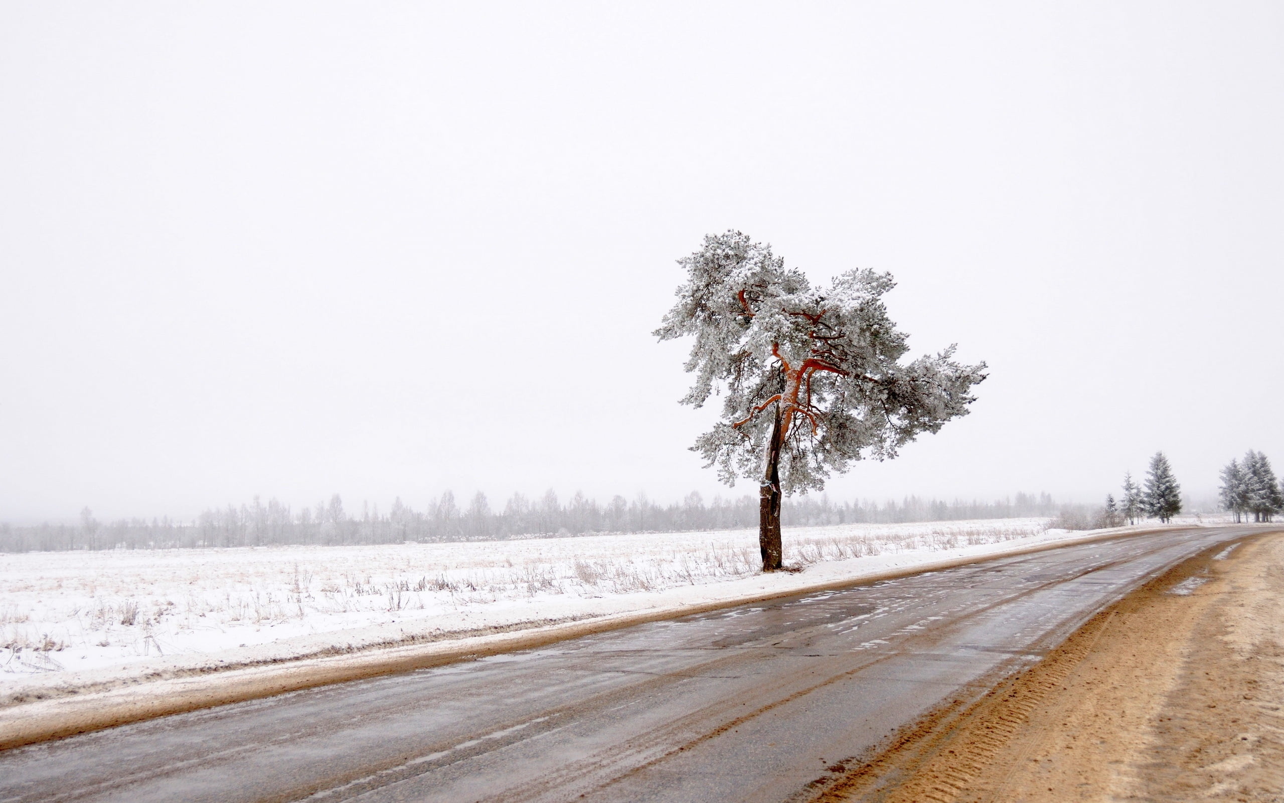 tranquility, highway, tree, weather, street, lonely, sky, land, fog, beauty In Nature, environment, snowing, winter, cold - Temperature, direction, non-Urban Scene, HD Wallpaper
