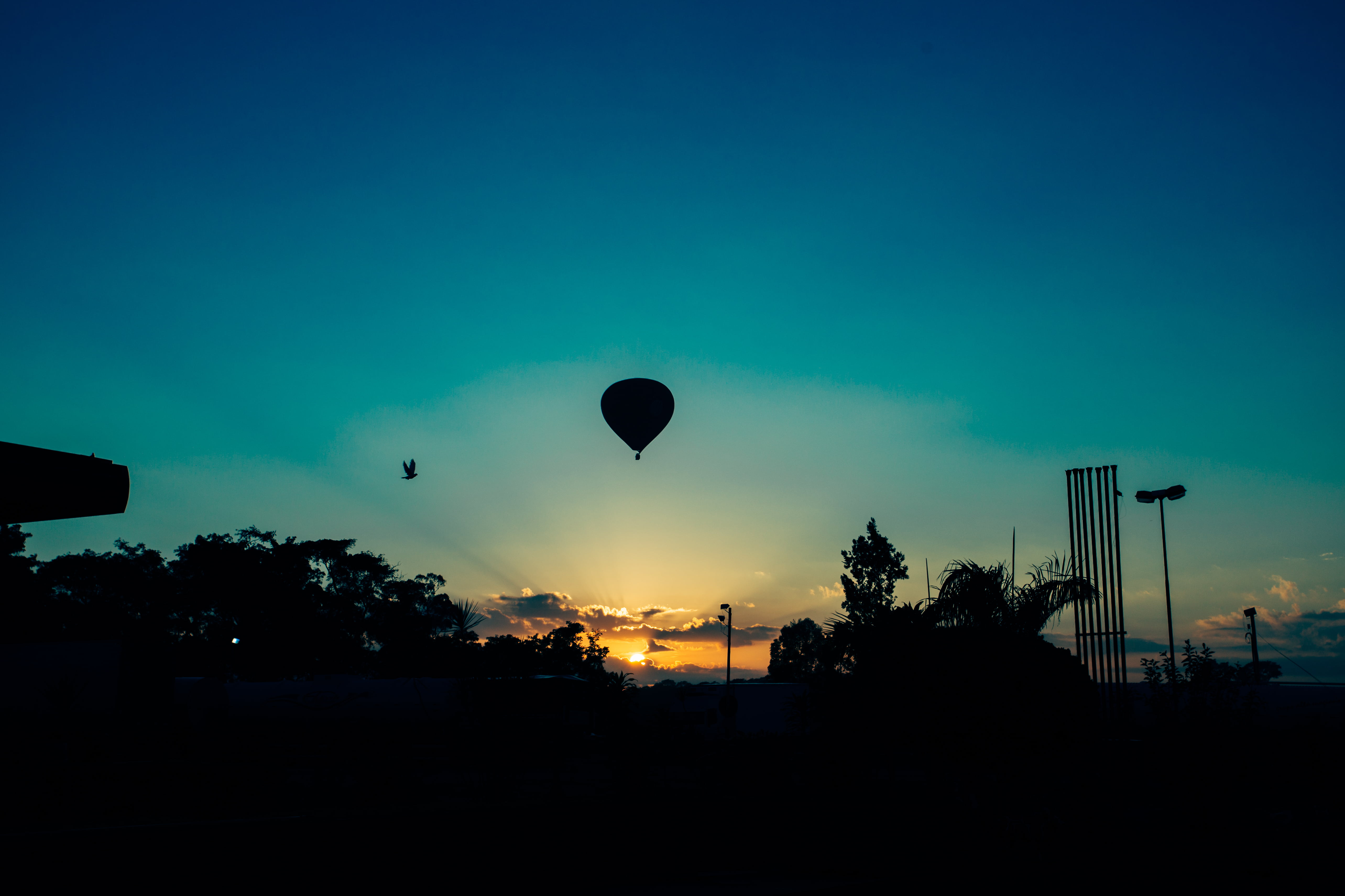 violet, gradient, mid-air, plant, transportation, sunset, floating, sunrise, beauty in nature, balloon, horizon, silhouette, sky, flying, air, parks, dusk, HD Wallpaper