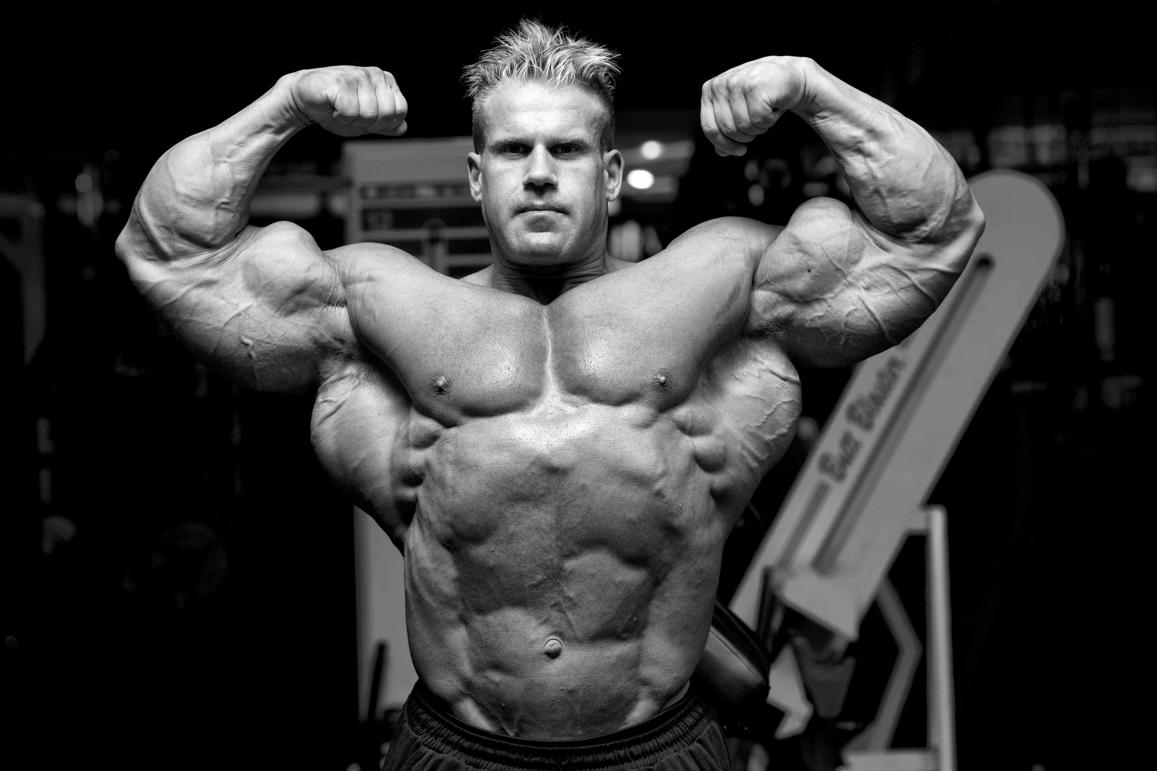 weight training, masculinity, human muscle, lifestyles, sports training, human arm, handsome, sport, bicep, beautiful people, one person, exercising, shirtless, HD Wallpaper