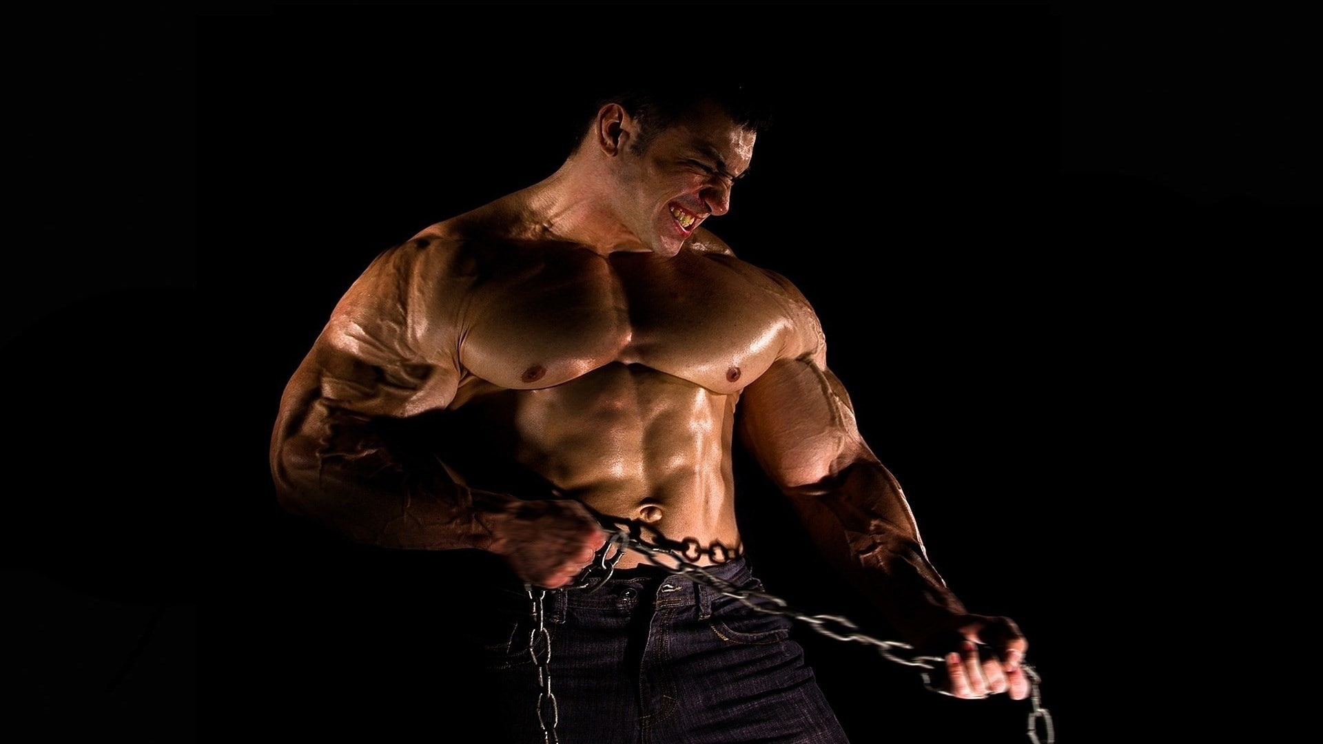 abdominal muscle, adult, vitality, effort, chest, healthy lifestyle, human muscle, athlete, one person, 1080P, weight, bicep, men, sport, exercising, weight training, HD Wallpaper