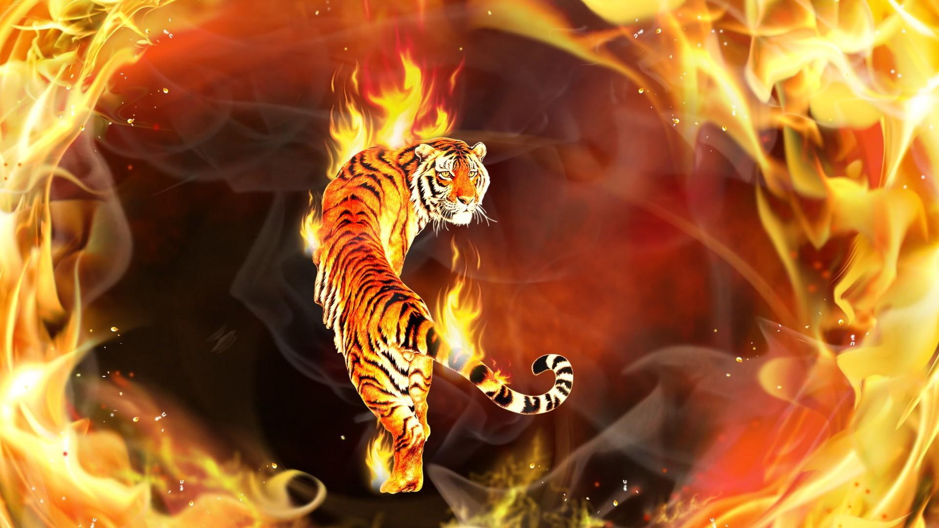 tiger, omdave, hrdave, fire, 3d and abstract, amit, matu, 1080P, hd, HD Wallpaper