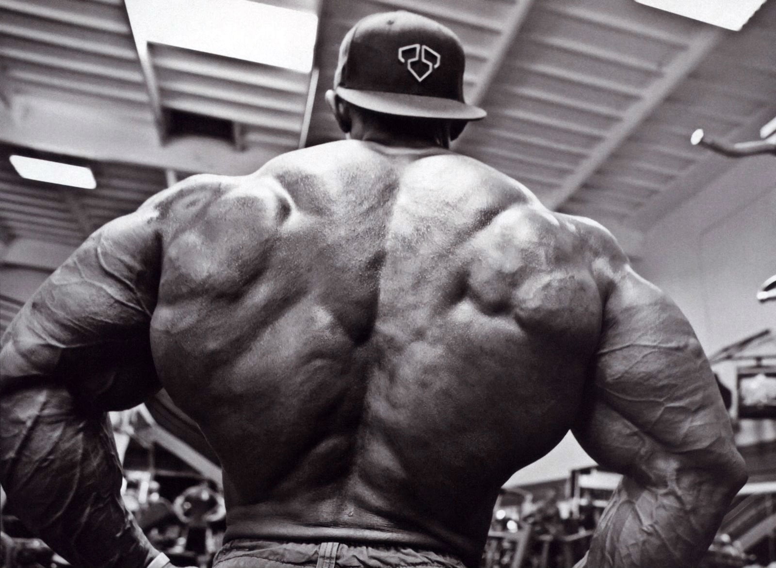 athlete, lifestyles, men, body building, indoors, brimmed, rear view, cap, human back, strength, human limb, adult, Sports, weight training, sport, 720P, HD Wallpaper