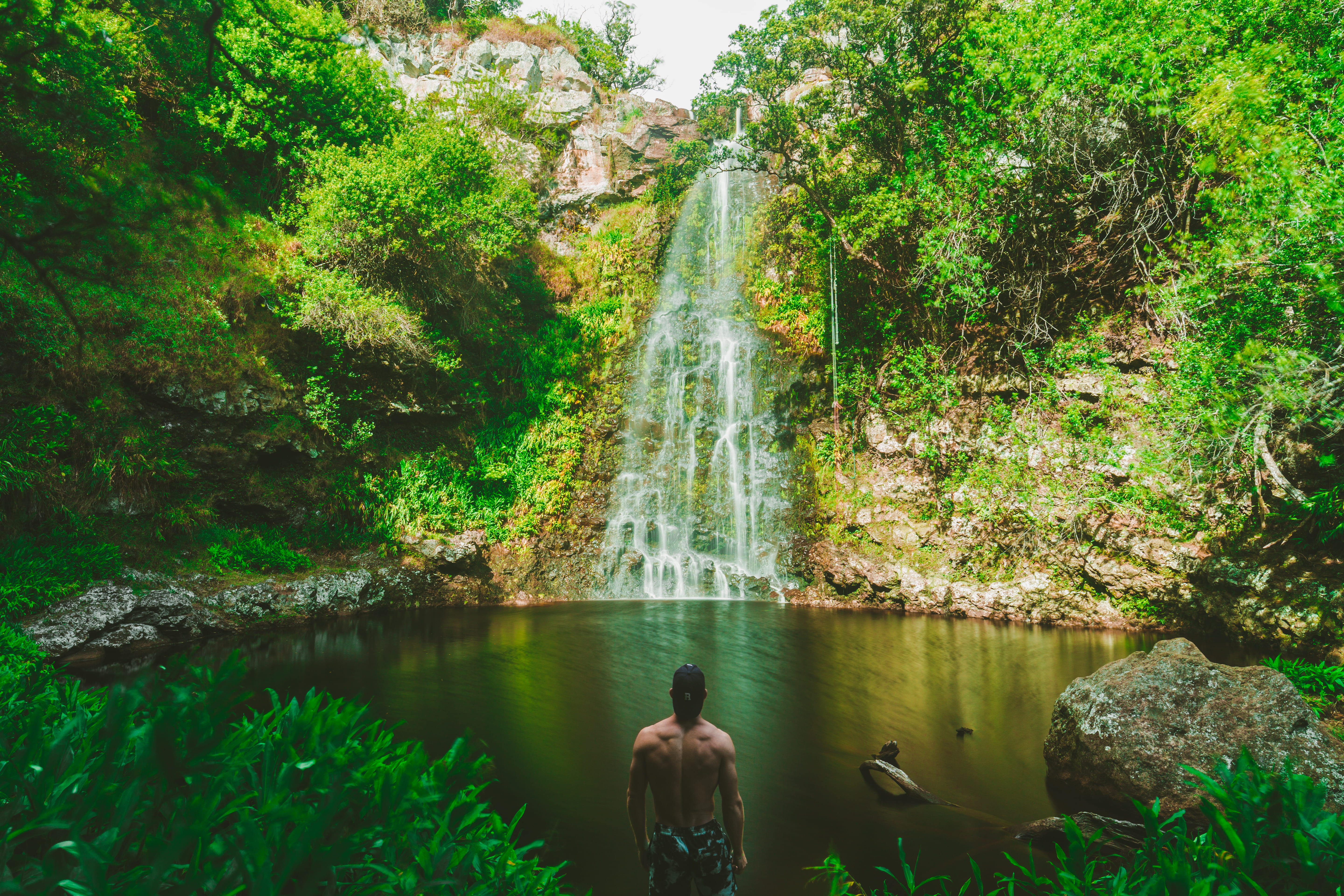 man, scenics - nature, person, beauty in nature, green color, muscle, one person, water, plant, tree, rear view, bathing suit, 5K, forest, male, outdoors, HD Wallpaper